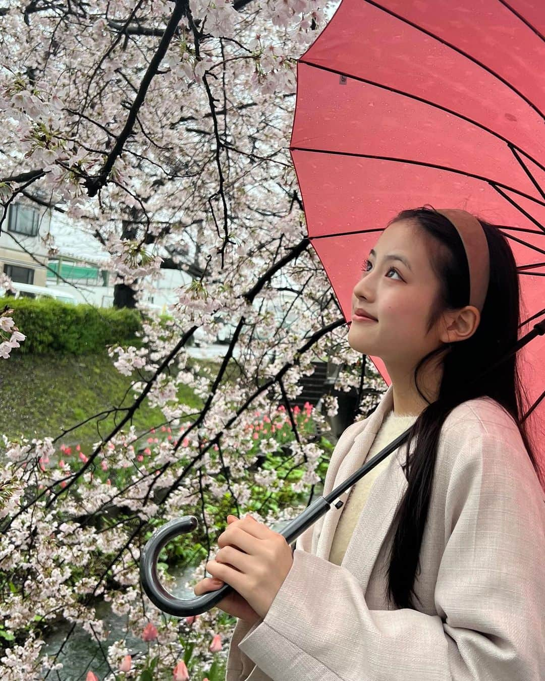 竹下優名さんのインスタグラム写真 - (竹下優名Instagram)「桜を見に行ってきたよ🌸 雨の日のお花見もいいね☔️ チューリップと桜が両方咲いていて綺麗だった🌷  #お花見#桜#さくら#🌸 #チューリップ#🌷#雨#雨の日のお花見 #ニコプチ#プチモ #竹下優名 @nicopuchi_official #jc1#09 #スターダストプロモーション」3月28日 12時19分 - yu_na0114.official