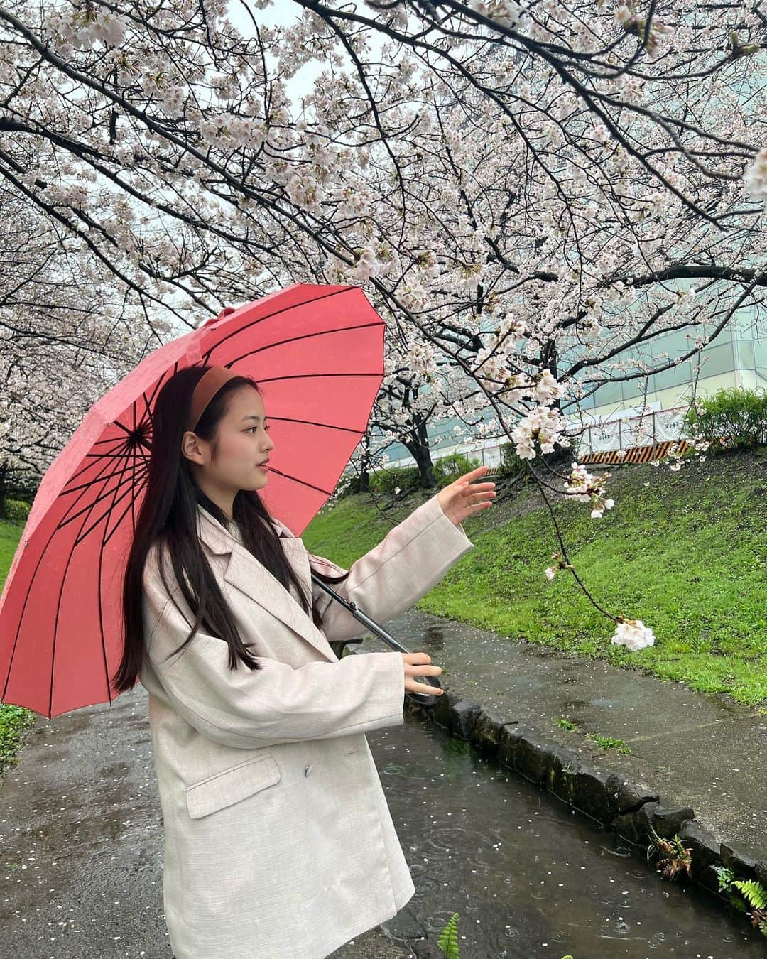 竹下優名さんのインスタグラム写真 - (竹下優名Instagram)「桜を見に行ってきたよ🌸 雨の日のお花見もいいね☔️ チューリップと桜が両方咲いていて綺麗だった🌷  #お花見#桜#さくら#🌸 #チューリップ#🌷#雨#雨の日のお花見 #ニコプチ#プチモ #竹下優名 @nicopuchi_official #jc1#09 #スターダストプロモーション」3月28日 12時19分 - yu_na0114.official