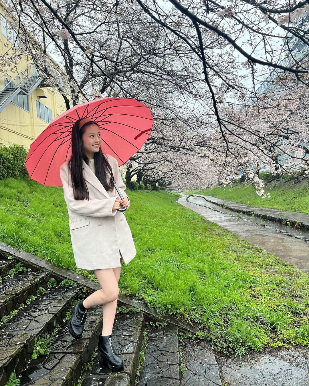 竹下優名さんのインスタグラム写真 - (竹下優名Instagram)「桜を見に行ってきたよ🌸 雨の日のお花見もいいね☔️ チューリップと桜が両方咲いていて綺麗だった🌷  #お花見#桜#さくら#🌸 #チューリップ#🌷#雨#雨の日のお花見 #ニコプチ#プチモ #竹下優名 @nicopuchi_official #jc1#09 #スターダストプロモーション」3月28日 12時19分 - yu_na0114.official