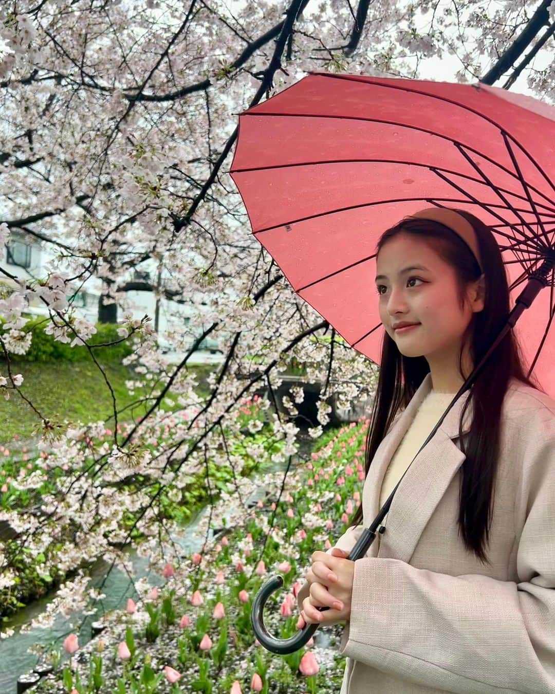 竹下優名さんのインスタグラム写真 - (竹下優名Instagram)「桜を見に行ってきたよ🌸 雨の日のお花見もいいね☔️ チューリップと桜が両方咲いていて綺麗だった🌷  #お花見#桜#さくら#🌸 #チューリップ#🌷#雨#雨の日のお花見 #ニコプチ#プチモ #竹下優名 @nicopuchi_official #jc1#09 #スターダストプロモーション」3月28日 12時19分 - yu_na0114.official