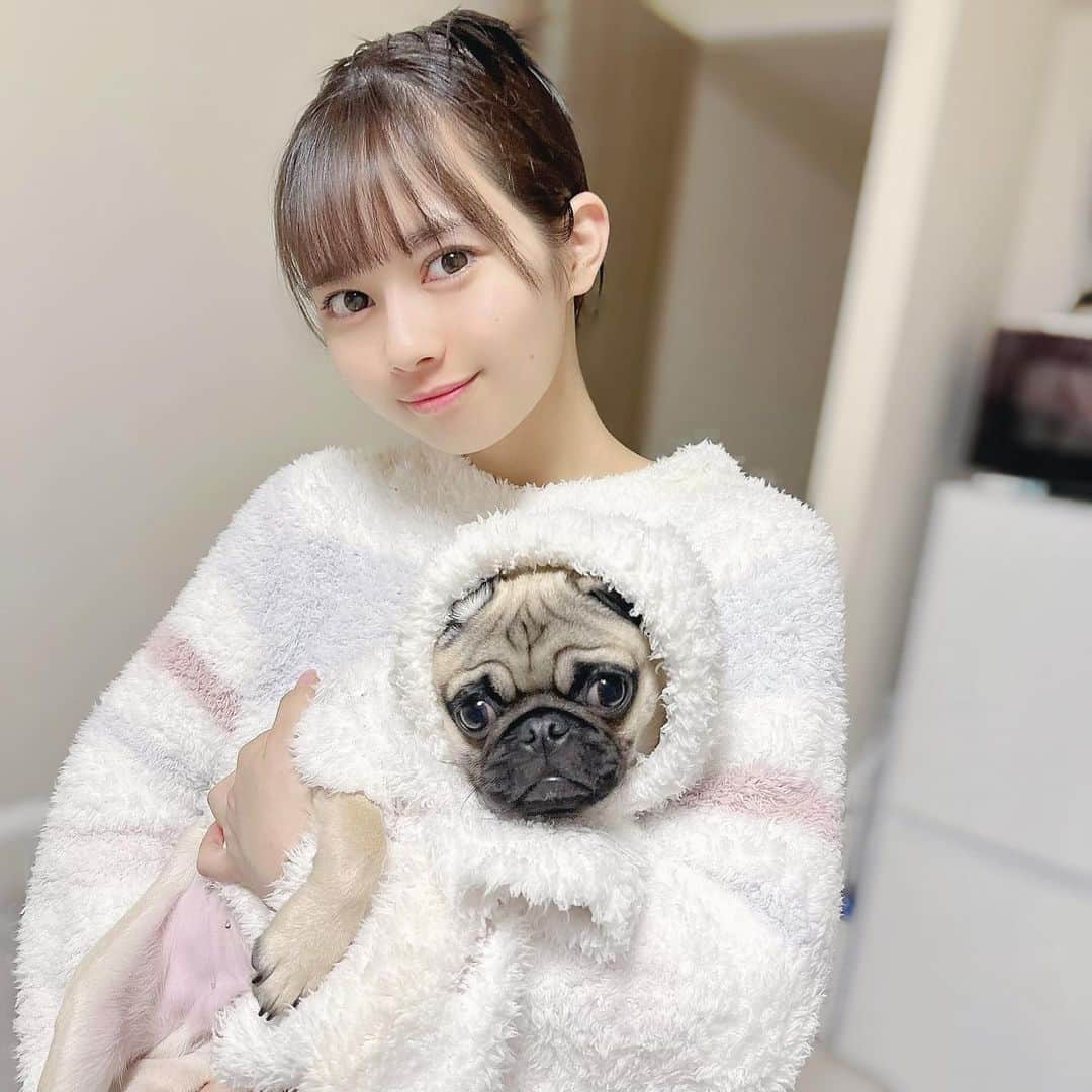近藤沙瑛子さんのインスタグラム写真 - (近藤沙瑛子Instagram)「おはよう〜お揃い🐶💭」3月28日 12時30分 - saekondo_inu