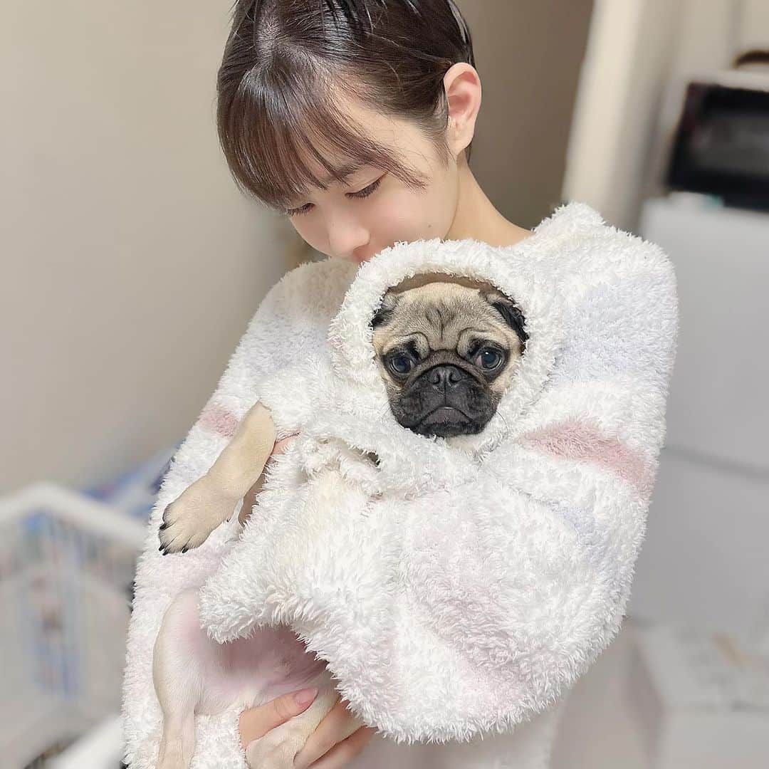 近藤沙瑛子さんのインスタグラム写真 - (近藤沙瑛子Instagram)「おはよう〜お揃い🐶💭」3月28日 12時30分 - saekondo_inu