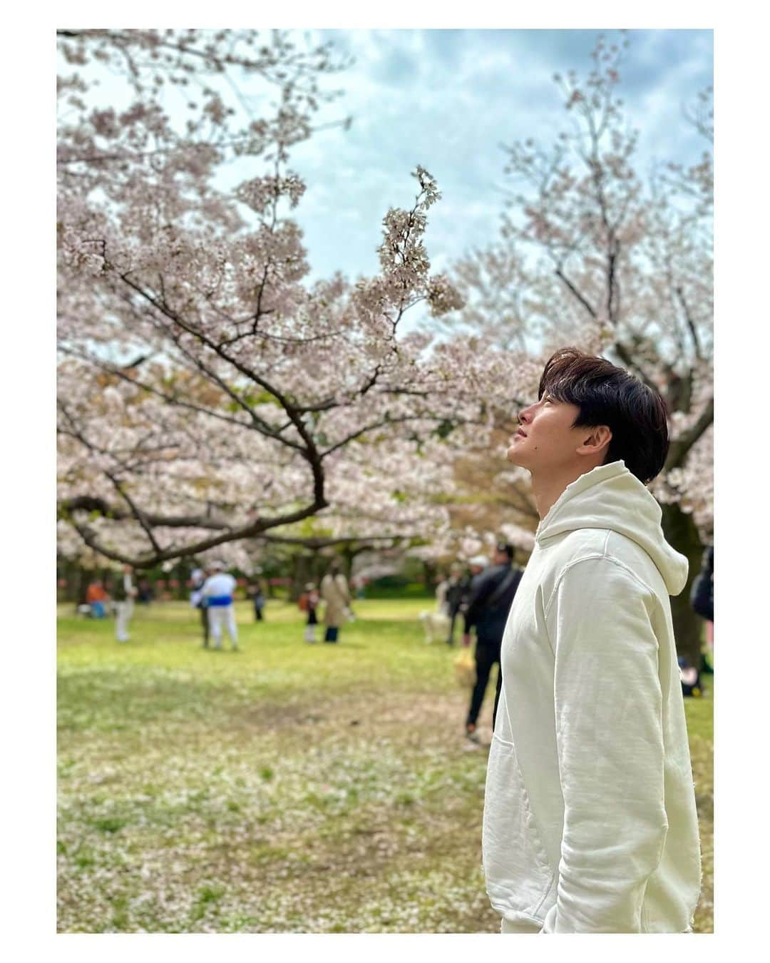 高島豪志さんのインスタグラム写真 - (高島豪志Instagram)「. 4年ぶりのお花見！🌸  #高島豪志 #お花見 #桜 #2023」3月28日 12時26分 - tsuyoshi_takashima_official