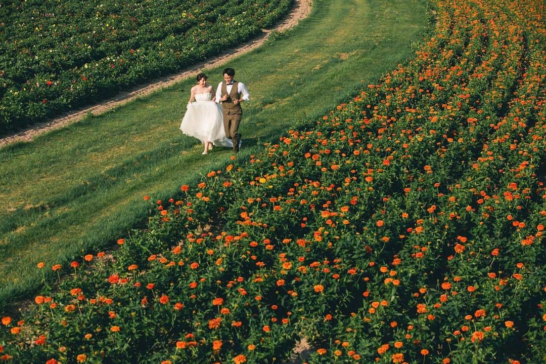 のインスタグラム：「⁡ 【北海道の大自然で最高のフォトウェディング🌸】  何種類もある花畑でのロケーションは圧巻です✨  毎年大好評の 北海道スタジオSOLAが 2023年は6月〜10月で期間限定OPEN☀️  ⁡ 詳しくは最寄りの店舗までお電話またはメールにて お気軽にお問い合わせ下さい✨ ⁡ ⁡ おかげさまでたくさんのお問い合わせ、 撮影のご予約をいただいております🙇‍♀️ お問い合わせはお早めに✨ ⁡ ⁡ デコルテ公式アカウント ▷▷ @decollte_weddingphoto ⁡ スタジオアクアSOLA ▷▷ @studiosola_hokkaido  ⁡ ⁡ #d_weddingphoto #デコルテフォト #スタジオソラ #美瑛前撮り　 #スタジオSOLA #北海道ウェディング　 #撮る結婚式 #ウェディング #ウェディングフォト #フォトウェディング #フォトスタジオ #花嫁 #プレ花嫁 #卒花嫁　 #関東花嫁 #リゾートウェディングフォト #花嫁準備 #前撮り #後撮り #結婚式 #結婚式準備  #ヘアメイク #洋装前撮り #和装前撮り #ドレス試着 #北海道前撮り  #ウェディングフェア #プレ花嫁さんと繋がりたい #全国のプレ花嫁さんと繋がりたい #日本中のプレ花嫁さんと繋がりたい」