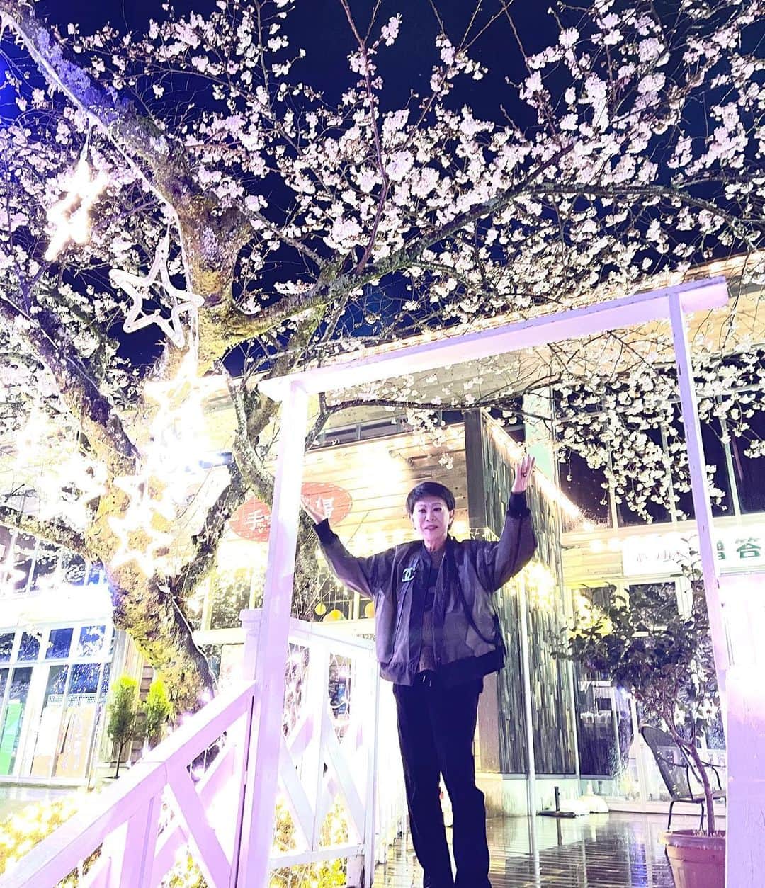 美川憲一さんのインスタグラム写真 - (美川憲一Instagram)「これは、 御殿場高原ホテルの 桜が綺麗だったから、 写真を撮ったわよ～  奥にある時之栖の桜は、 ライトアップされていて 幻想的だったわ～  桜が散る前に 皆様はお花見できたかしら？  お花の中でも 桜っていいわね～  #美川憲一 #桜 #お花見 #ライトアップ #御殿場高原ホテル #時之栖」3月28日 13時38分 - kenichimikawa_official