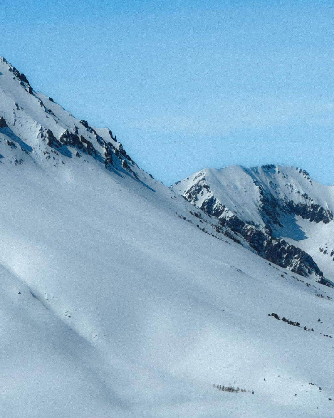 松島エミさんのインスタグラム写真 - (松島エミInstagram)「Baby steps🤍  . .  #winterwonderland#snow#easternsierra #ski#skitouring #backcountry#backcountryskiing #outdoors #easternsierras#sierranevada#beautifuldestinations #californiaadventure#optoutside #landscapephotography#mountaingirls #explorecalifornia#wanderlust#snowadventure#winteradventures#frozen#mountains#スキー#雪景色#arcteryx」3月28日 14時34分 - emimatsushima