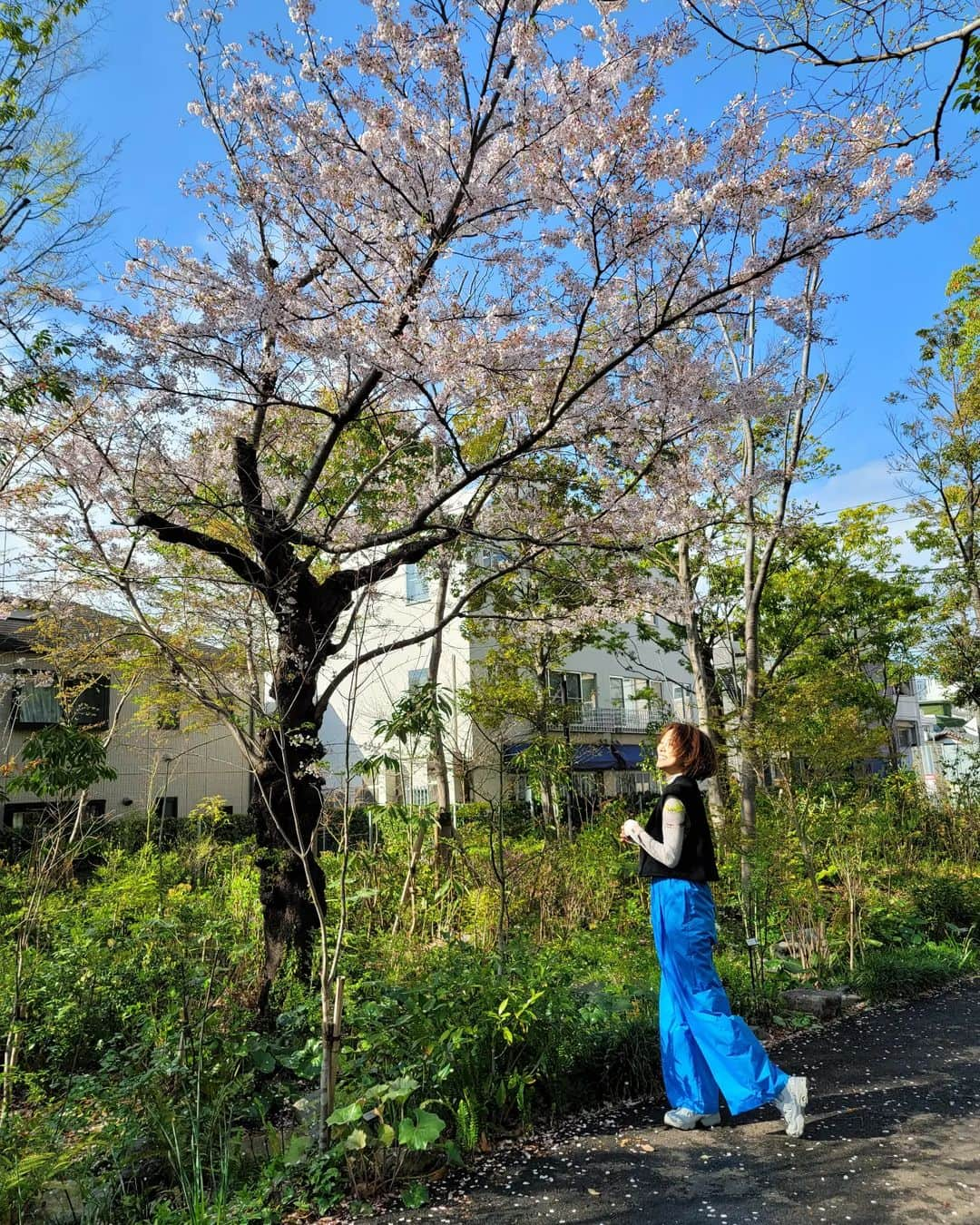 夏菜さんのインスタグラム写真 - (夏菜Instagram)「皆さんご無沙汰しております。 すっかり春な陽気になってきましたね..🌸  ここでご報告が🍀 私事ではありますが、この度第二子を授かりました。   一歳になった長女に続き、また可愛い赤ちゃんが我が家にやってきてくれる事を大変楽しみに過ごしています!  今後とも温かく見守っていただけますと幸いです。」3月28日 15時25分 - natsuna_official