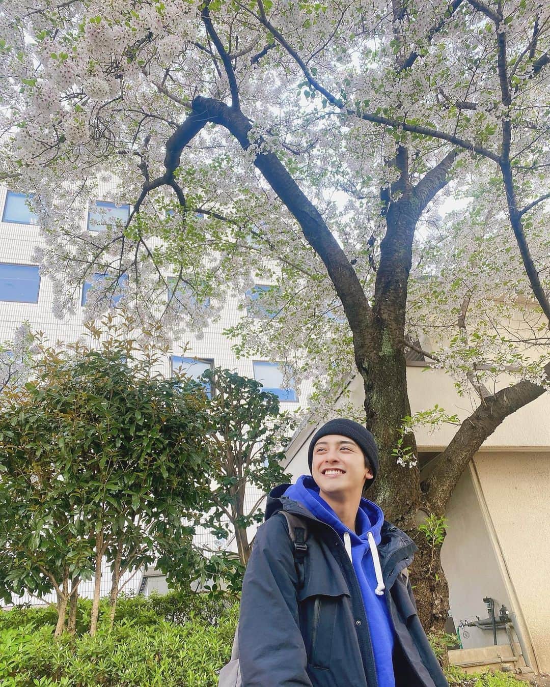 新原泰佑さんのインスタグラム写真 - (新原泰佑Instagram)「ちょっと葉桜になっちゃったけどよかった、桜で撮れて。 の図」3月28日 15時53分 - taisukeniihara.official