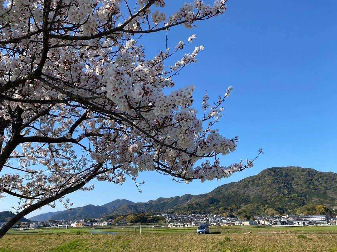 家入一真のインスタグラム：「弟の誕生日であり命日でもある今日。コロナ禍直後、桜の綺麗な季節でした。直後には自分でも認識できなかった心の穴が、3年経ち、ようやくその輪郭が鮮明になってきた気がして、苦しい。」