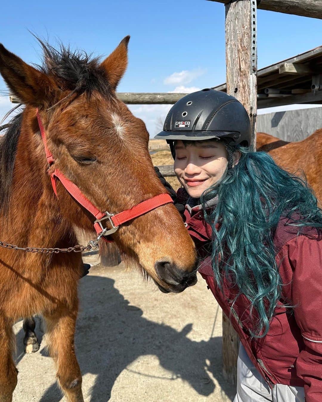 のインスタグラム：「念願の💝🐴💝  背中に乗せてくれたぴーちゃん🐴、押琴ファームのお父さんお母さん、愛らしい馬たち、同行してくれた武井さんadim、スペシャルサンクスな瞳ちゃんたっくん！ありがとう🫂とんでもなく幸せな誕生日だった💘」