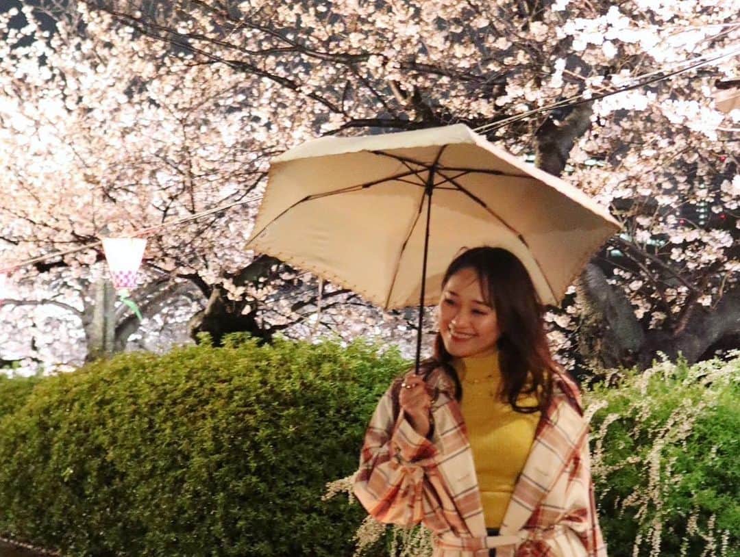 犬塚あさなさんのインスタグラム写真 - (犬塚あさなInstagram)「雨の日の桜も素敵🌸  #桜 #桜スポット #大阪城 #春」3月28日 16時48分 - wanchan_0319