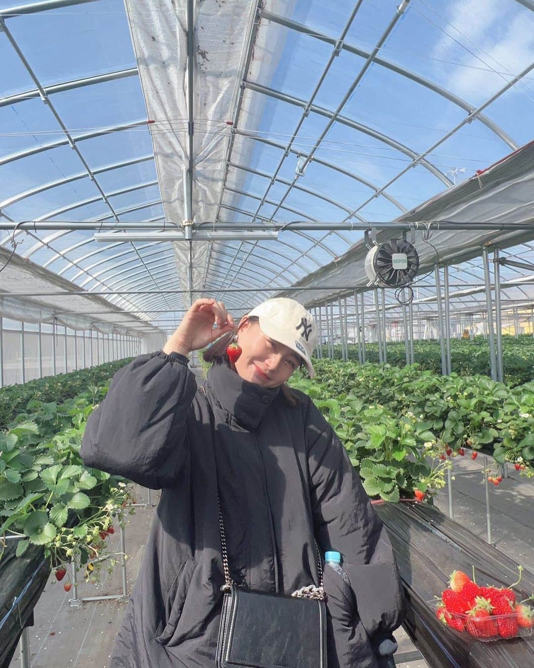 広橋佳苗のインスタグラム：「午後に行ったら貸切だったー🍓 私は今月2回も風邪を引いてしまって 貧弱女になってます 季節の変わり目、たいへんだぁ みなさんも体調にお気をつけて👼」