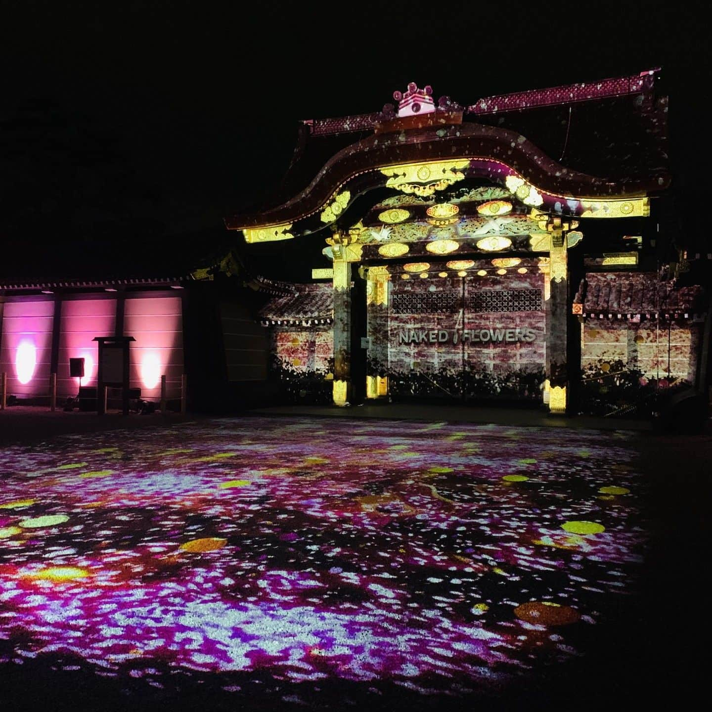 ローチケ（ローソンチケット）さんのインスタグラム写真 - (ローチケ（ローソンチケット）Instagram)「『NAKED FLOWERS 2023 桜 世界遺産・二条城』（@naked_inc）が 世界遺産・#二条城 にて4/15(土)まで開催中🏯🌸  桜🌸×日本の伝統文化🍵で楽しむ春の夜 『NAKED FLOWERS 2023 桜 世界遺産・二条城』が今年も開催！  五感すべての感覚で、二条城ならではのデジタルアート体験と 約50種類300本もの本物の桜が織りなす幻想的な春の夜をお楽しみください✨  ローチケではチケットを販売中🎫 チケットの詳しい情報は『NAKED二条城　ローチケ』でネット検索📲  #nakedinc #ネイキッドインク #nakedflowers」3月28日 17時01分 - lawson_ticket