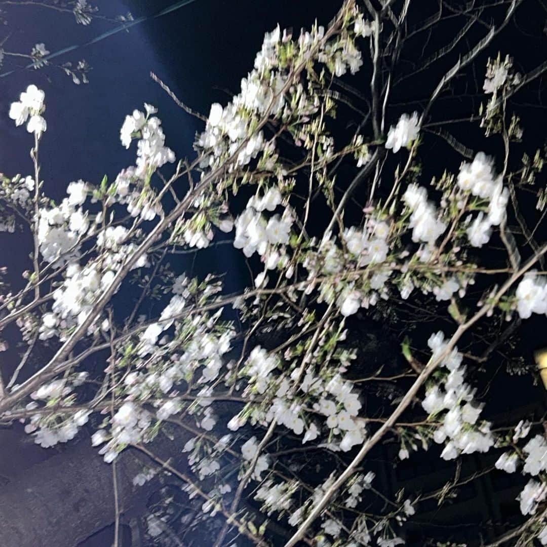 丸山礼さんのインスタグラム写真 - (丸山礼Instagram)3月29日 2時47分 - rei_maruyama