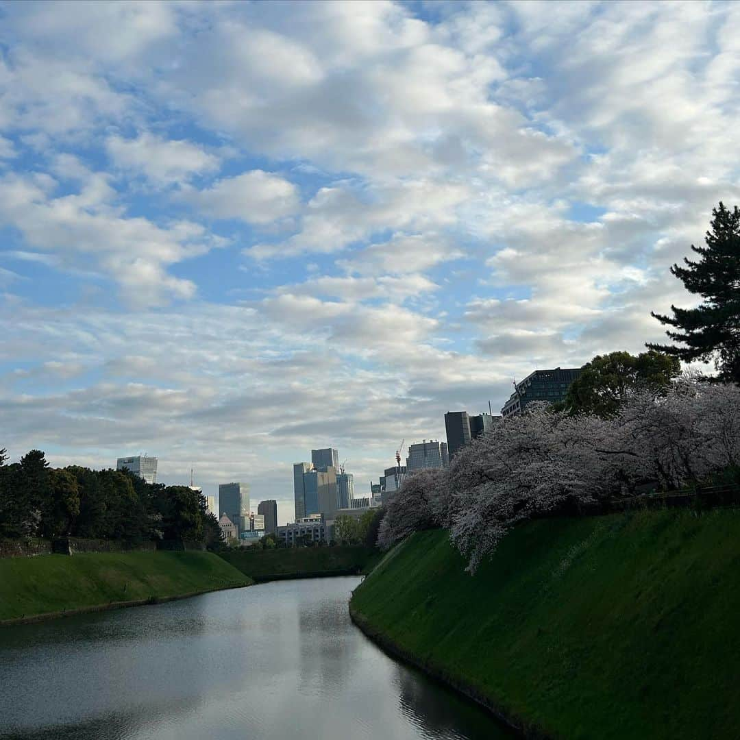 丸山礼のインスタグラム