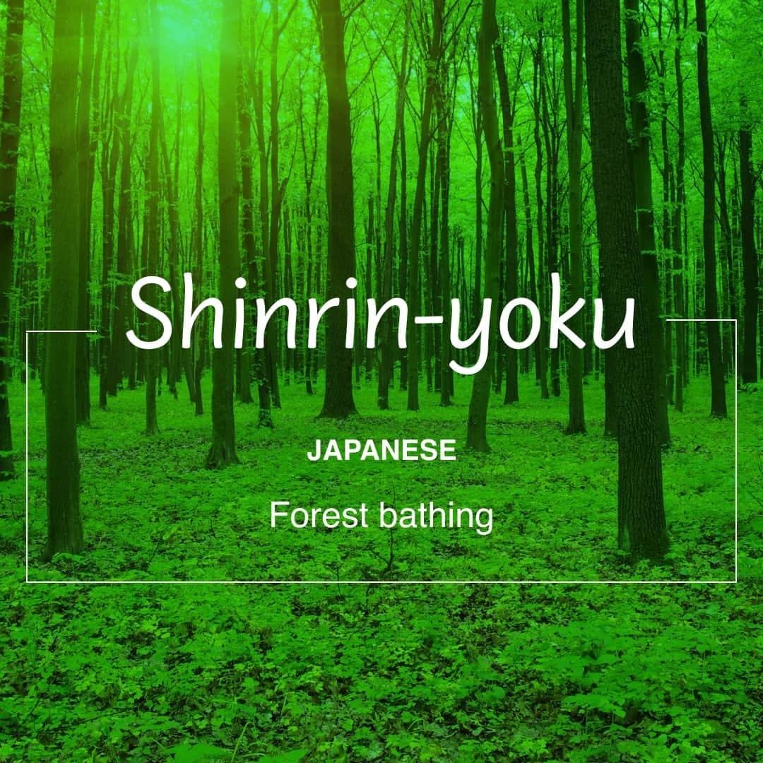 Rosetta Stoneのインスタグラム：「A solo walk through the forest can do wonders for your health—both mentally and physically. In Japanese, #TheresAWordForThat.」