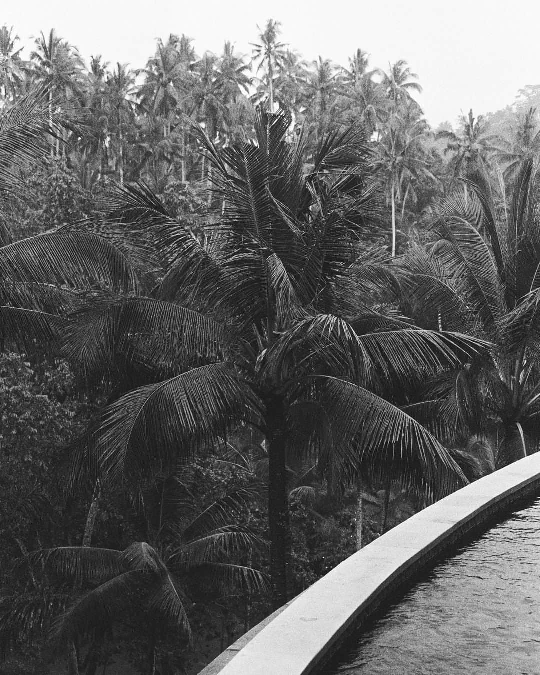 リリー＝ローズ・メロディさんのインスタグラム写真 - (リリー＝ローズ・メロディInstagram)「Four Seasons Sayan memories on film @fsbali 🖤 #35mm」3月29日 2時59分 - lilyrose