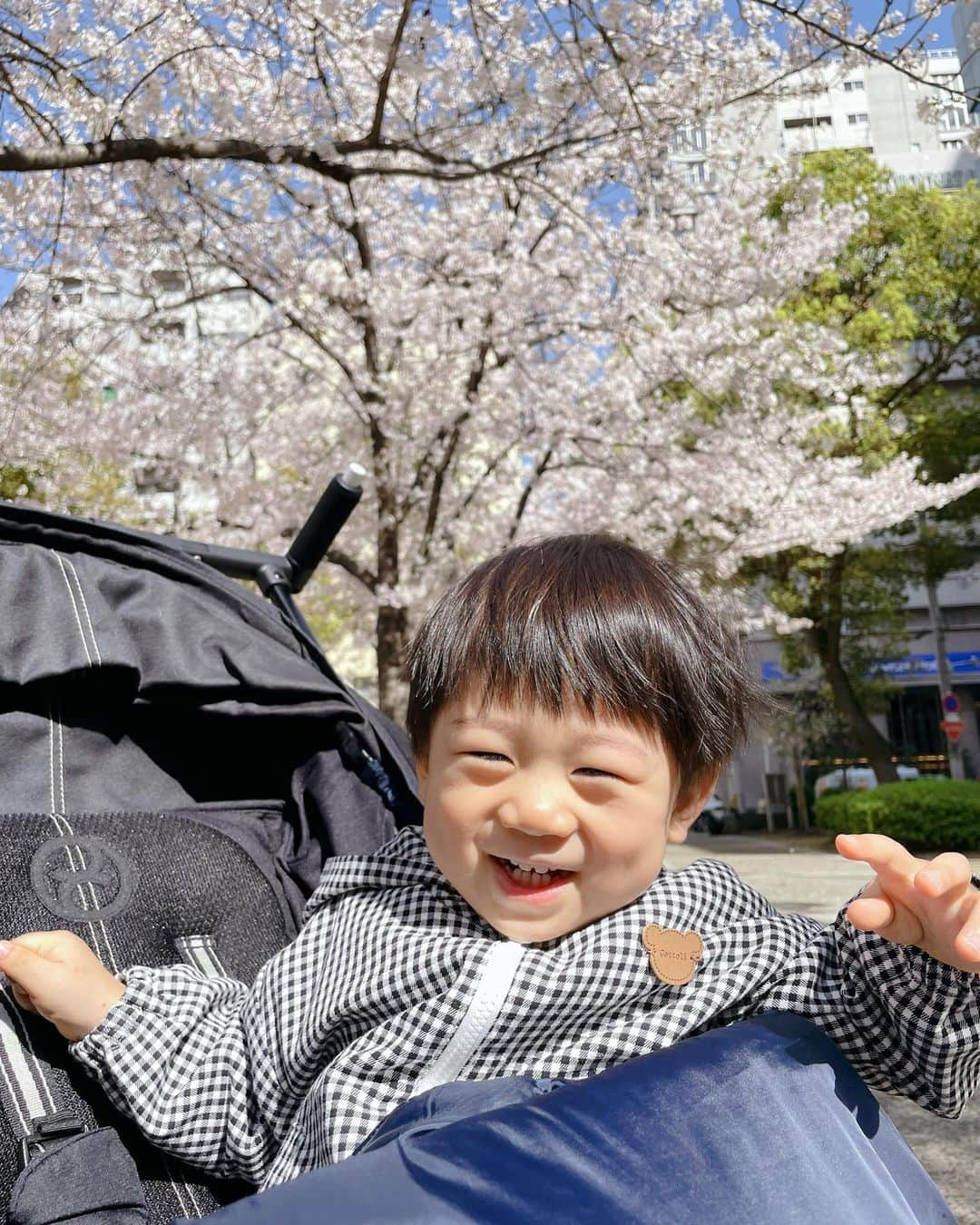 DJ みぃのインスタグラム：「お散歩がてら桜を見に公園へ🌸 桜ももう満開ですね☺️✨✨  そしてふらっと大塚由美姉さんのお店　@pamojah_y へ！！  初めて食べるナッツ🥜類を口の中に入れたものの、不思議そうにもぐもぐしてました😂  ドライフルーツのイチヂクを息子があーんしてくれていきなりのサービス←に母感動🥹✨  ゆーみんさんに抱っこしてもらったり、お店の中で終始ごきげんさんな👦❤️  また遊びに行きます🤗✨  #お花見　#一歳男の子　#pamojah #お散歩日和 #帰って爆睡でした」