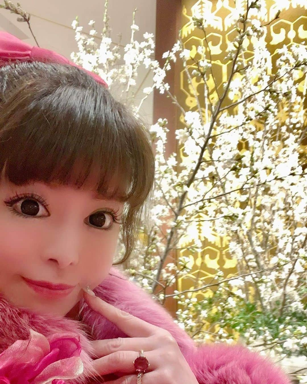 滝沢姫さんのインスタグラム写真 - (滝沢姫Instagram)「🌸が綺麗な時期とくに ⁡ ⁡ 悲しくなったり...不安になったり... ⁡ 落ち込んだり...寂しくなったり...怖いこと... ⁡ ⁡ いろんなことあると思う... ⁡ ⁡ ⁡ ⁡ その気持ちは大切に受け入れて ⁡ あなたの気持ちに素直になって💗 ⁡ 前むいて勇気だして一歩進んでみよう✨ ⁡ ⁡ ⁡ 一歩進んだら素敵な未来があるから💕 ⁡ ⁡ 大丈夫💗一緒に頑張ろ🦢 ⁡ ⁡ ⁡ ⁡ 不安になったときは姫のこと ⁡ 思い出して元気になってくれたらいいな⭐️ ⁡ ⁡ ⁡ ⁡  ⁡ ⁡ #一歩一歩 #不安な気持ち #不安な毎日  #前向きに #一歩先を歩く #桜並木 #桜  ⁡ ⁡ ⁡ ⁡ ⁡ ⁡ ⁡ ⁡ ⁡ ⁡ ⁡ ⁡ ⁡ ⁡ ⁡ ⁡ ⁡ ⁡ ⁡ ⁡ ⁡ ⁡ ⁡」3月28日 18時50分 - hime.takizawa