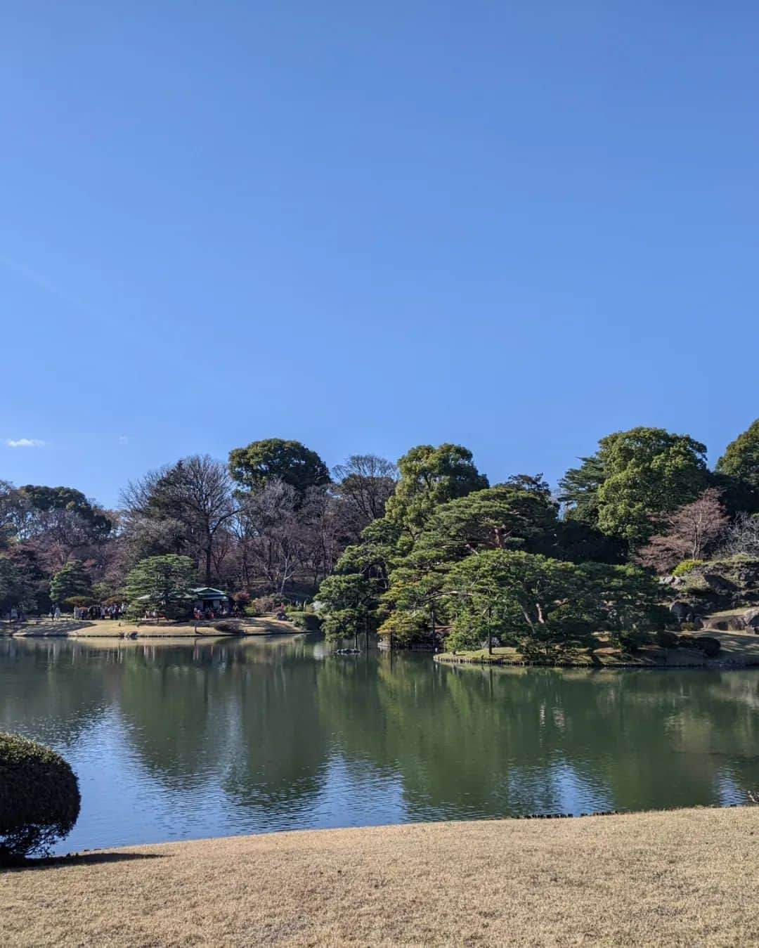 七帆ひかるさんのインスタグラム写真 - (七帆ひかるInstagram)「先日、枝垂れ桜が見頃ということで文京区の六義園に家族でお花見にいきました。  とても広く、優雅な庭園。 事前チケットを購入したのでスムーズに入れましたが、そうでなければかなりの列。 見事な枝垂れ桜には多くの人が集まり皆さん写真撮影していました。  夜桜のライトアップも見たかったですが今回は叶わず。 桜の開花宣言とともにお天気は優れず、六義園ももう葉桜のようです。 お弁当を囲んでのお花見は来年のお楽しみです😊  #お花見　#六義園　#文京区　#枝垂れ桜」3月28日 18時54分 - nanaho.hikaru