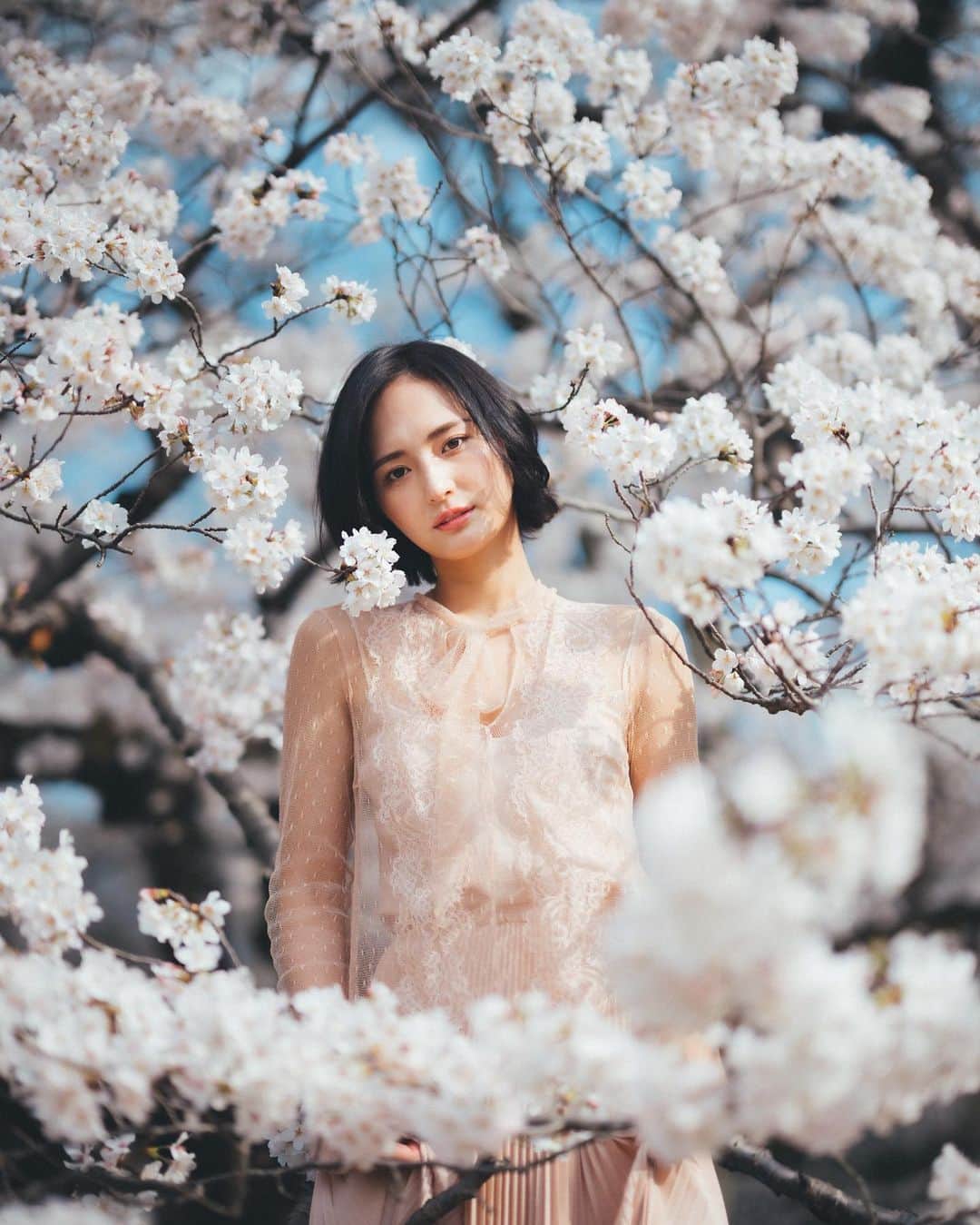 山賀琴子さんのインスタグラム写真 - (山賀琴子Instagram)「Sakura 2023🌸🌸🌸  毎年恒例となっているイイノくんとの桜撮影！ みんなは何枚目が好き？😌  この日は天気に恵まれて最高だった！今年も素敵な撮影ができて楽しかったな😆✨ 来年も楽しみ！(早いw)  Photo by @eeeeeeeno」3月28日 19時13分 - kotokoyamaga