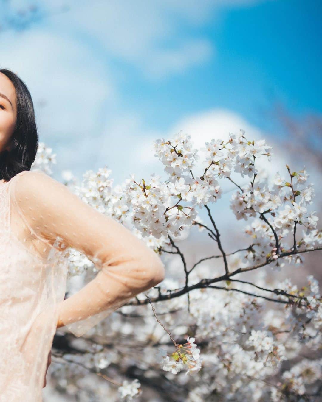 山賀琴子さんのインスタグラム写真 - (山賀琴子Instagram)「Sakura 2023🌸🌸🌸  毎年恒例となっているイイノくんとの桜撮影！ みんなは何枚目が好き？😌  この日は天気に恵まれて最高だった！今年も素敵な撮影ができて楽しかったな😆✨ 来年も楽しみ！(早いw)  Photo by @eeeeeeeno」3月28日 19時13分 - kotokoyamaga