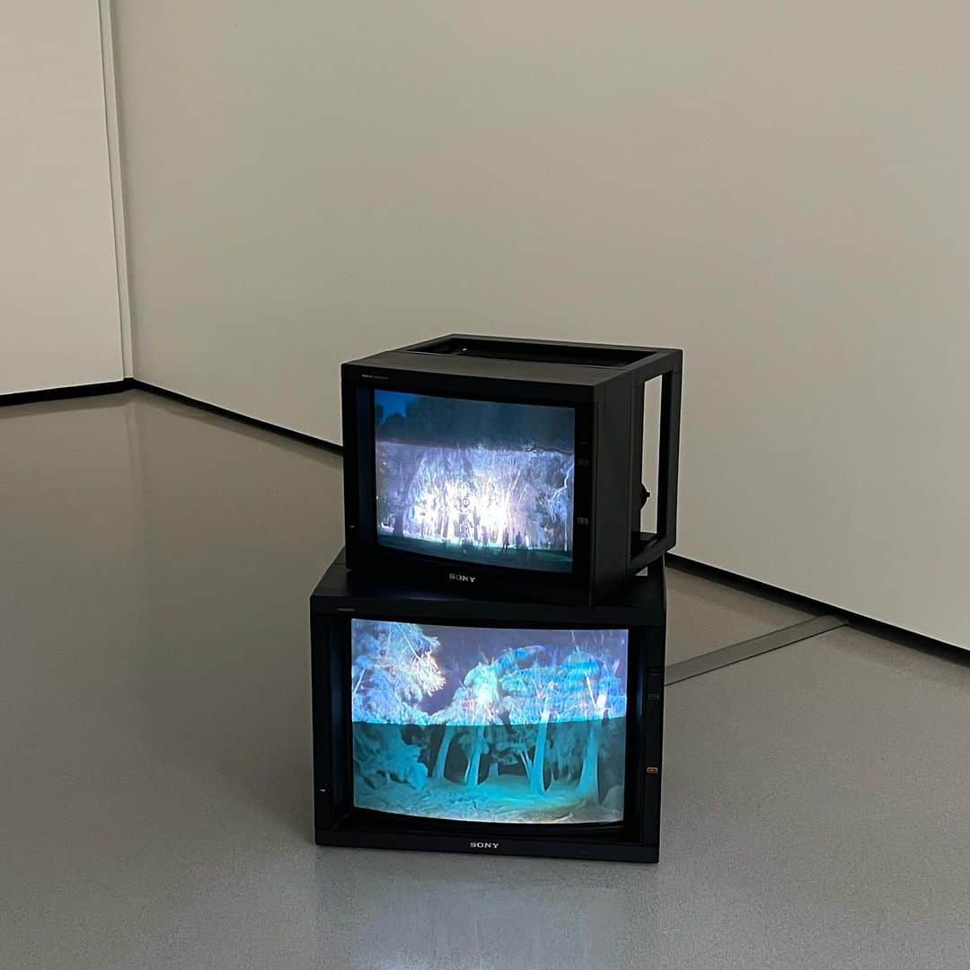 stone___ironさんのインスタグラム写真 - (stone___ironInstagram)「#피노콜렉션」3月28日 19時32分 - stone___iron