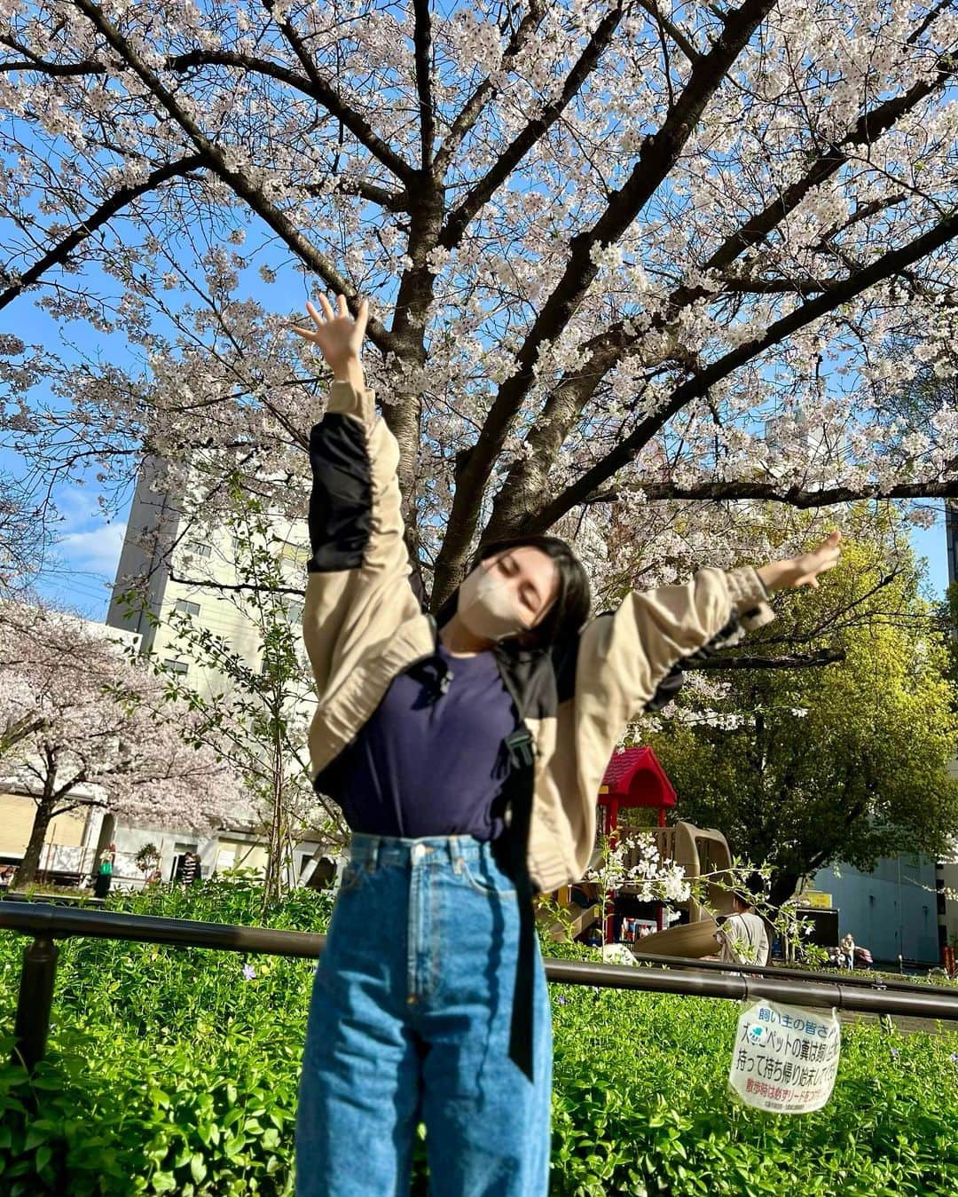 DJ LICCAのインスタグラム：「Sakura🌸 お花見しよかー◡̈  #桜 #sakura #お花見 #花見 #お花見大阪」
