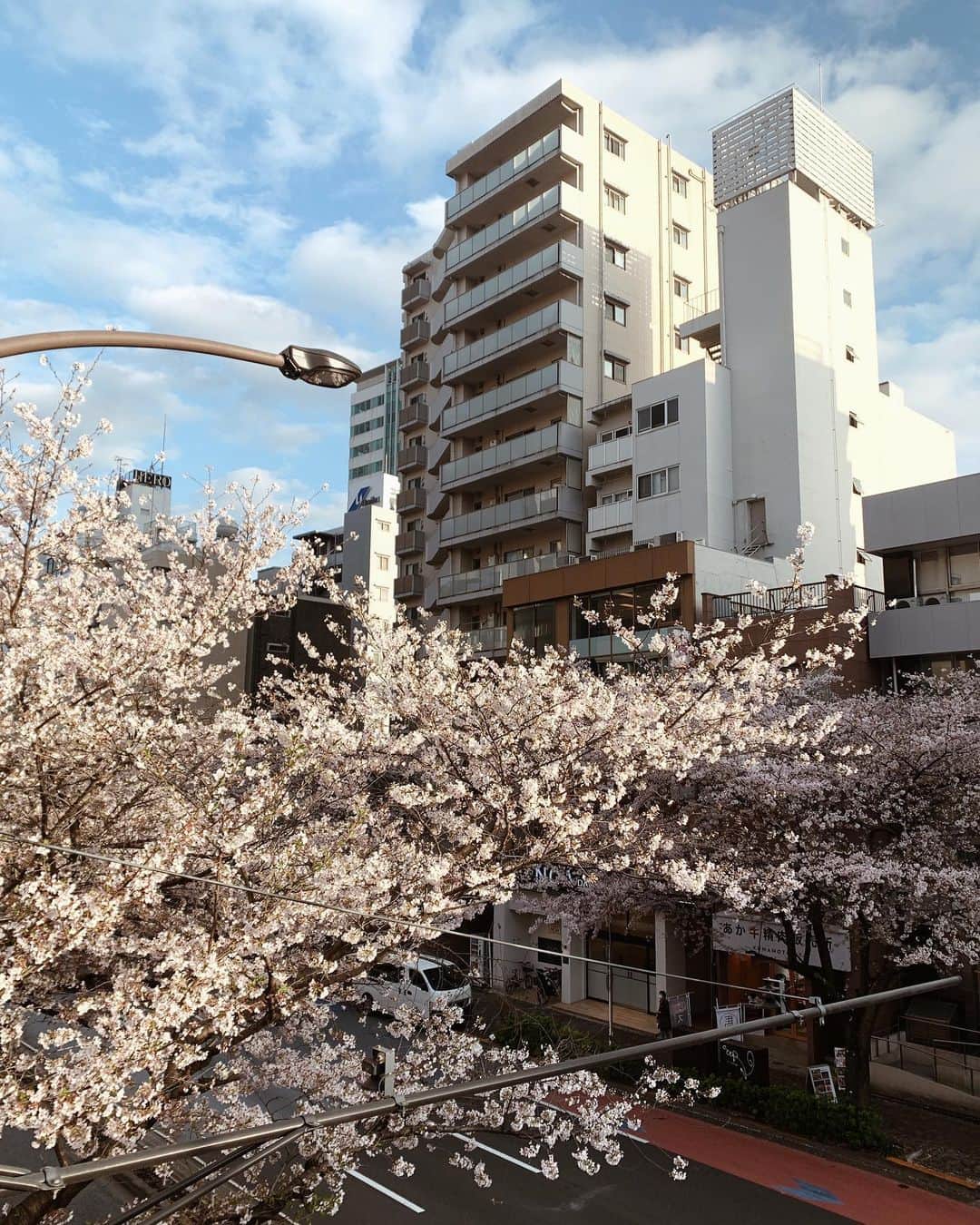 阿久津ゆりえさんのインスタグラム写真 - (阿久津ゆりえInstagram)「桜綺麗だったなぁ。 もうすぐ散ってしまう...🌸🥹」3月28日 19時53分 - yurie__a