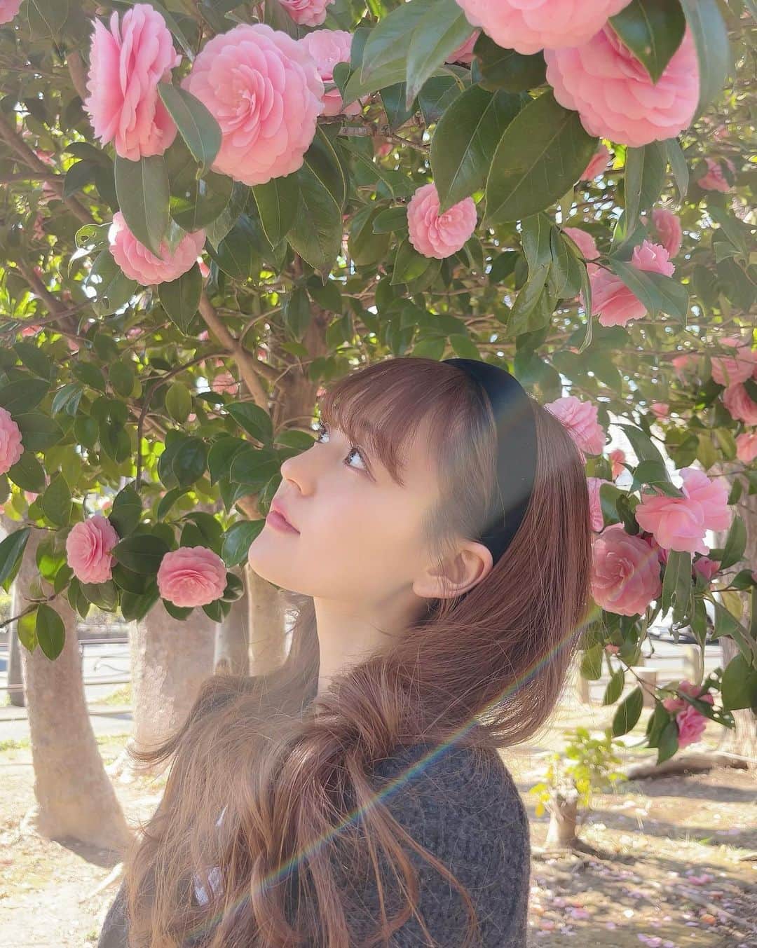 牧野真鈴さんのインスタグラム写真 - (牧野真鈴Instagram)「またお花と。今年はたくさんたくさん椿の花を堪能してます🧚🏻‍♂️  とても癒しです…♡」3月28日 20時00分 - makino_marin