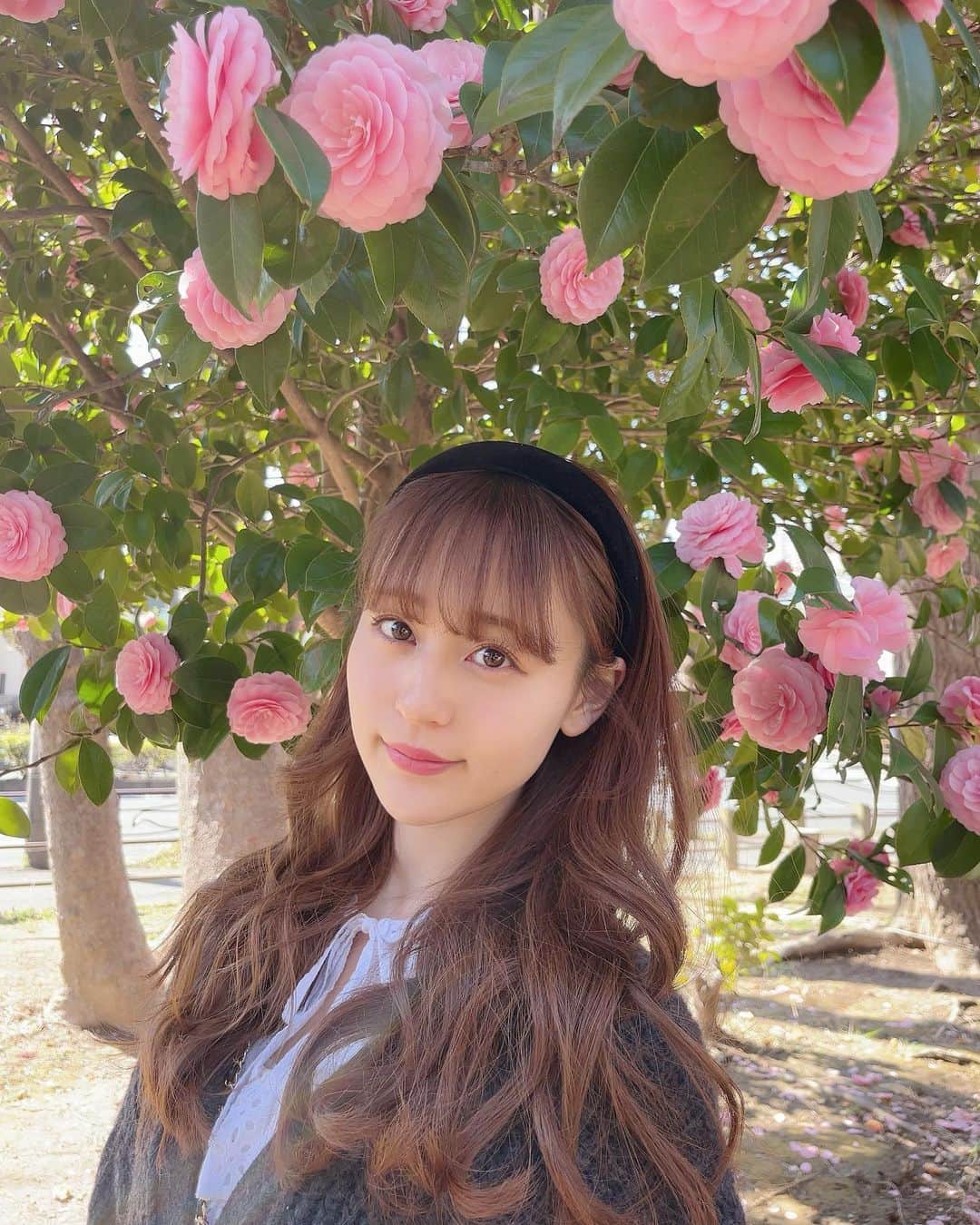 牧野真鈴さんのインスタグラム写真 - (牧野真鈴Instagram)「またお花と。今年はたくさんたくさん椿の花を堪能してます🧚🏻‍♂️  とても癒しです…♡」3月28日 20時00分 - makino_marin