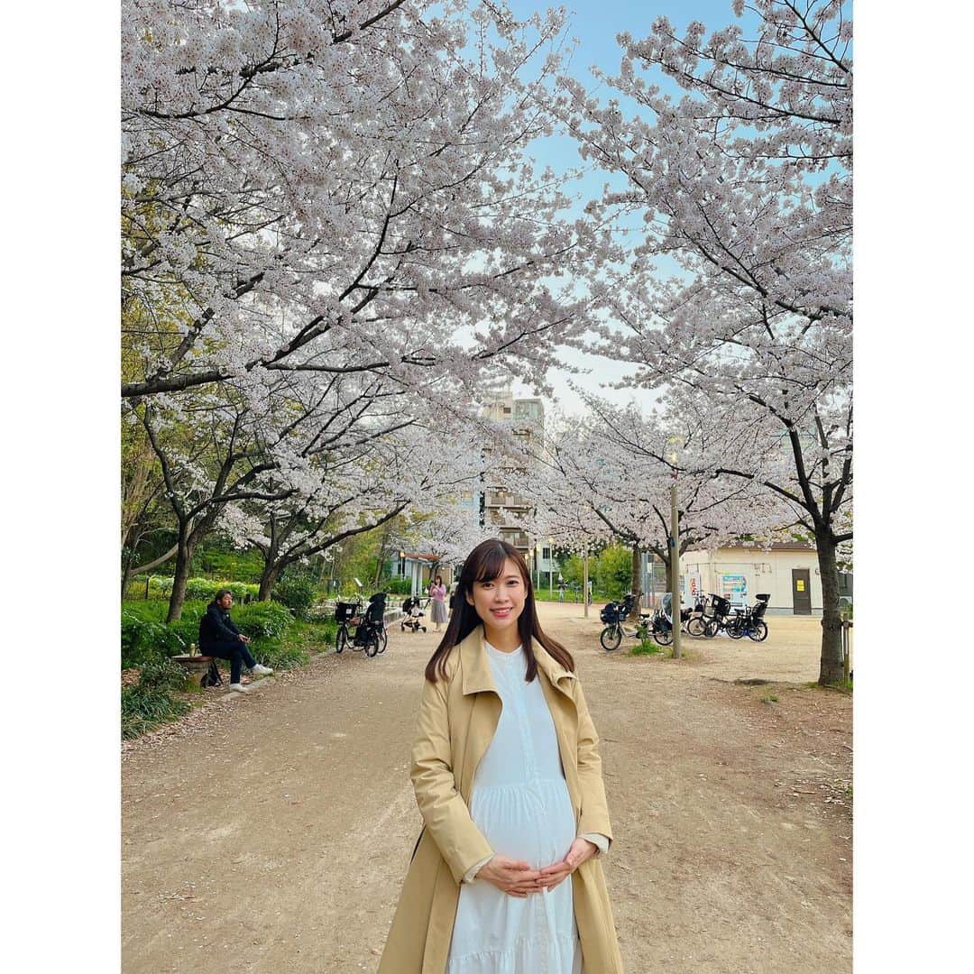 玉巻映美のインスタグラム：「． お散歩に行きました！満開の桜🌸🌸🌸 キレイでした😍🫶  #桜 #さくら #満開」