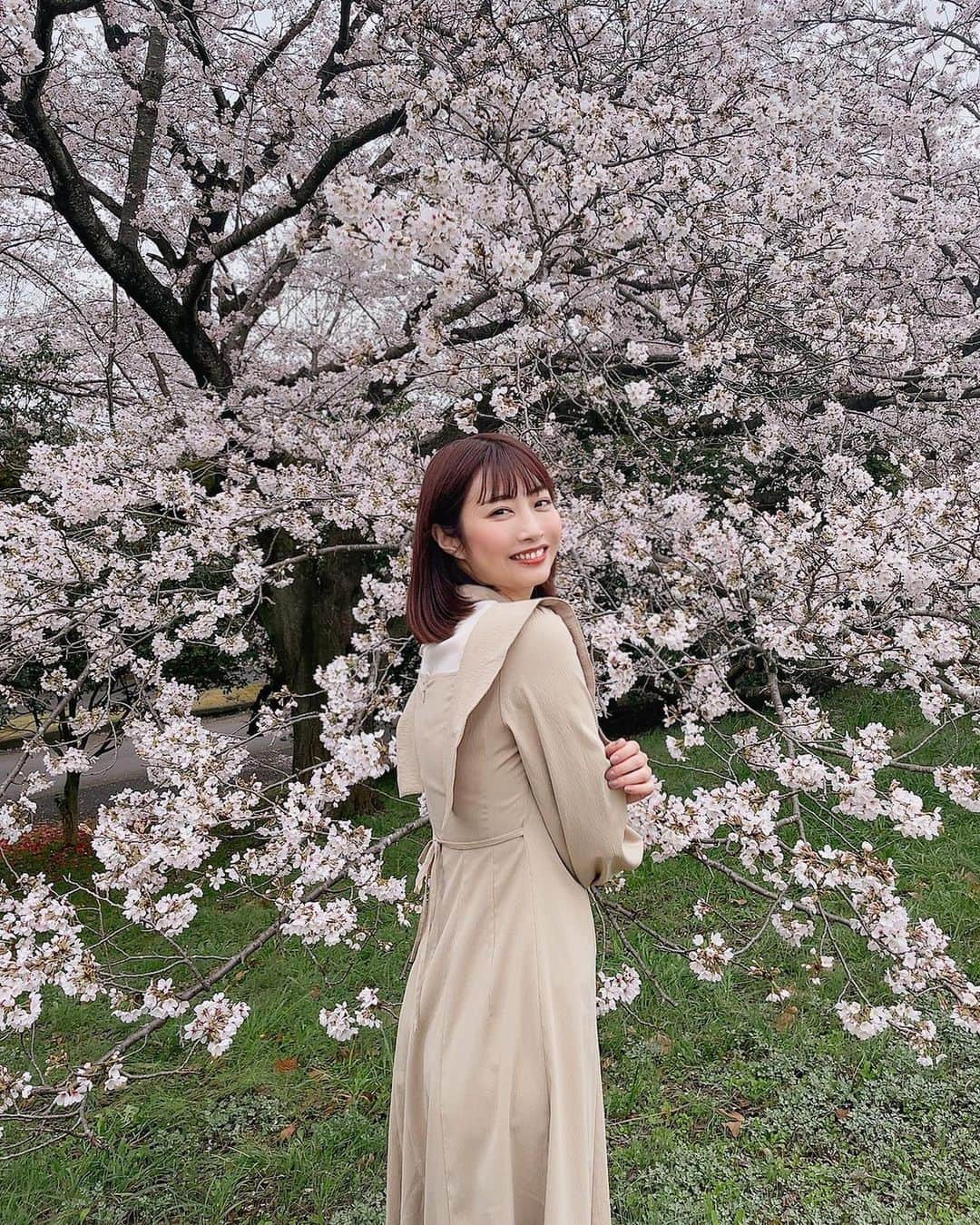 古川真奈美のインスタグラム：「. . 桜🌸 ⁡ ⁡ ⁡ #桜 #花見 #instalike #instamood  #ootd #东京 #扎心了 #ow #맞팔 #instapic  #팔로우미 #instaphoto #instagravure #girl #glam #followme #インスタグラビア #グラビア #japanesegirl #selfies #gravure  #lookgoodfeelgood」