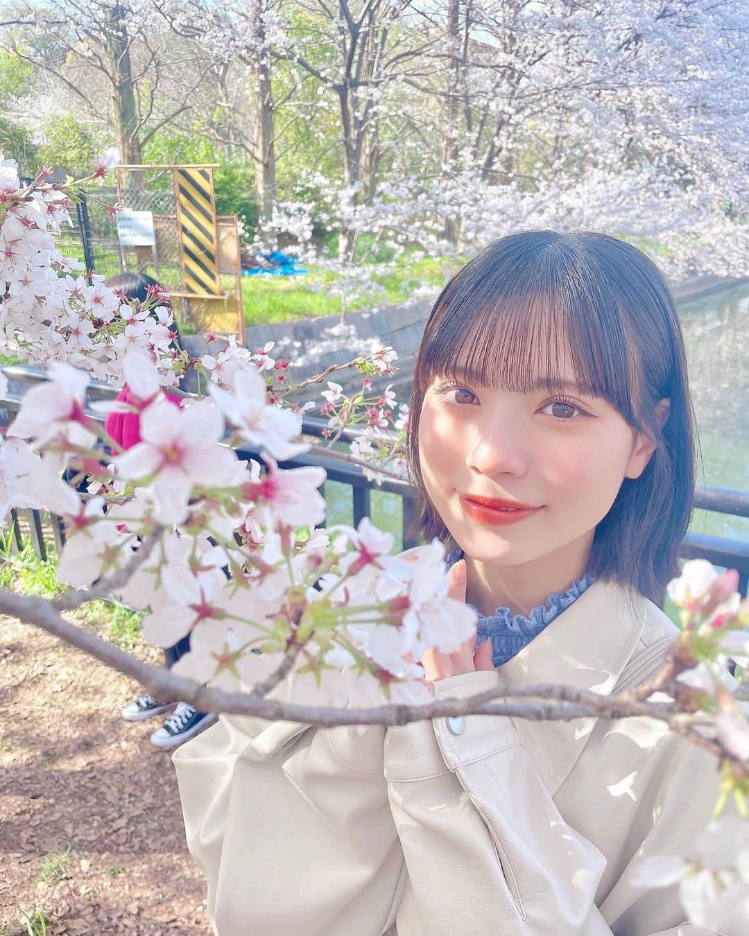 隅野和奏のインスタグラム：「1年で1番好きな季節🌸  #桜  #大阪城公園  #今年は見れた #03 #アイドル #nmb48」