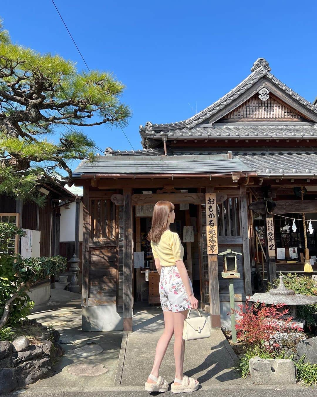 ayakoさんのインスタグラム写真 - (ayakoInstagram)「はじめての四国、高知県にいってきました✈️ 高知県民が厳選した高知県の深い魅力が詰まった場所をまわってきたよ☺️✨  ①観音寺『おもかる地蔵』 落ち着いていてとっても癒されたお寺✨☺️ 高知県民に愛されているおもかる地蔵✨その重さで願い事の行く末を視てくれることで古くから地元民に愛されているそうです☺️  ②JA春野農協内の『はるちゃんアイス』 わたしはラムレーズンとコーヒーとミルクの３段アイスにしたよ🍨 なんと400円で安くておいしくて最高💕😋 おいしそうなお野菜もたくさん農協敷地内に売っていたので次回来た時は買って帰りたいな🍠🍅🥕  ⁡ ③土佐山村『彼岸花』 秋になったら土佐山村の彼岸花もいってみたいな✨ 9月下旬の彼岸花の群生と田舎の景色とっても素敵だろうなぁ✨☺️  #pr #高知県 #観光 #高知観光#ぞっこんポイント  #観音寺 #はるちゃんアイス #土佐山村」3月28日 20時17分 - ayapooh_22