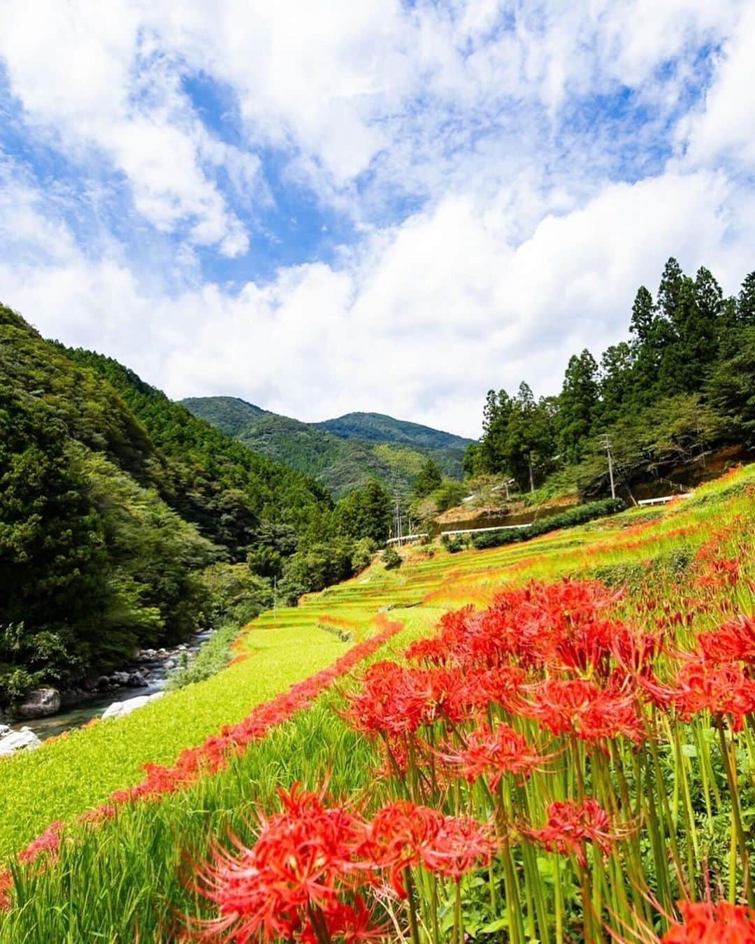 ayakoさんのインスタグラム写真 - (ayakoInstagram)「はじめての四国、高知県にいってきました✈️ 高知県民が厳選した高知県の深い魅力が詰まった場所をまわってきたよ☺️✨  ①観音寺『おもかる地蔵』 落ち着いていてとっても癒されたお寺✨☺️ 高知県民に愛されているおもかる地蔵✨その重さで願い事の行く末を視てくれることで古くから地元民に愛されているそうです☺️  ②JA春野農協内の『はるちゃんアイス』 わたしはラムレーズンとコーヒーとミルクの３段アイスにしたよ🍨 なんと400円で安くておいしくて最高💕😋 おいしそうなお野菜もたくさん農協敷地内に売っていたので次回来た時は買って帰りたいな🍠🍅🥕  ⁡ ③土佐山村『彼岸花』 秋になったら土佐山村の彼岸花もいってみたいな✨ 9月下旬の彼岸花の群生と田舎の景色とっても素敵だろうなぁ✨☺️  #pr #高知県 #観光 #高知観光#ぞっこんポイント  #観音寺 #はるちゃんアイス #土佐山村」3月28日 20時17分 - ayapooh_22