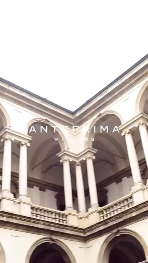 ANTEPRIMAのインスタグラム