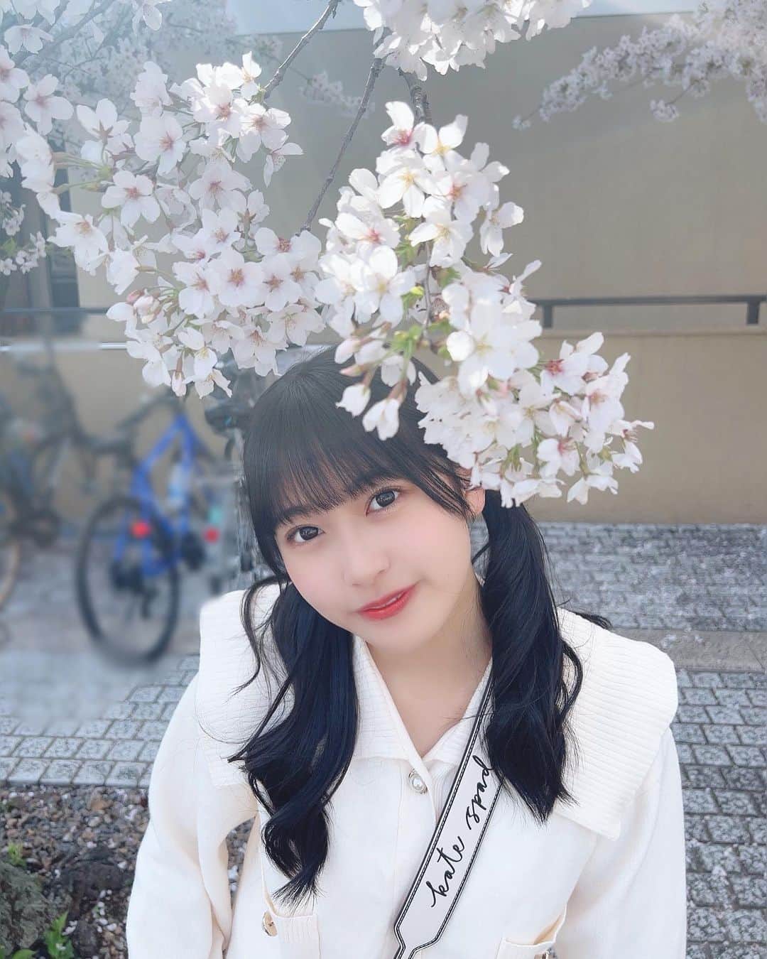 のインスタグラム：「🌸       #春  #桜  #お花見  #犬山城下町」