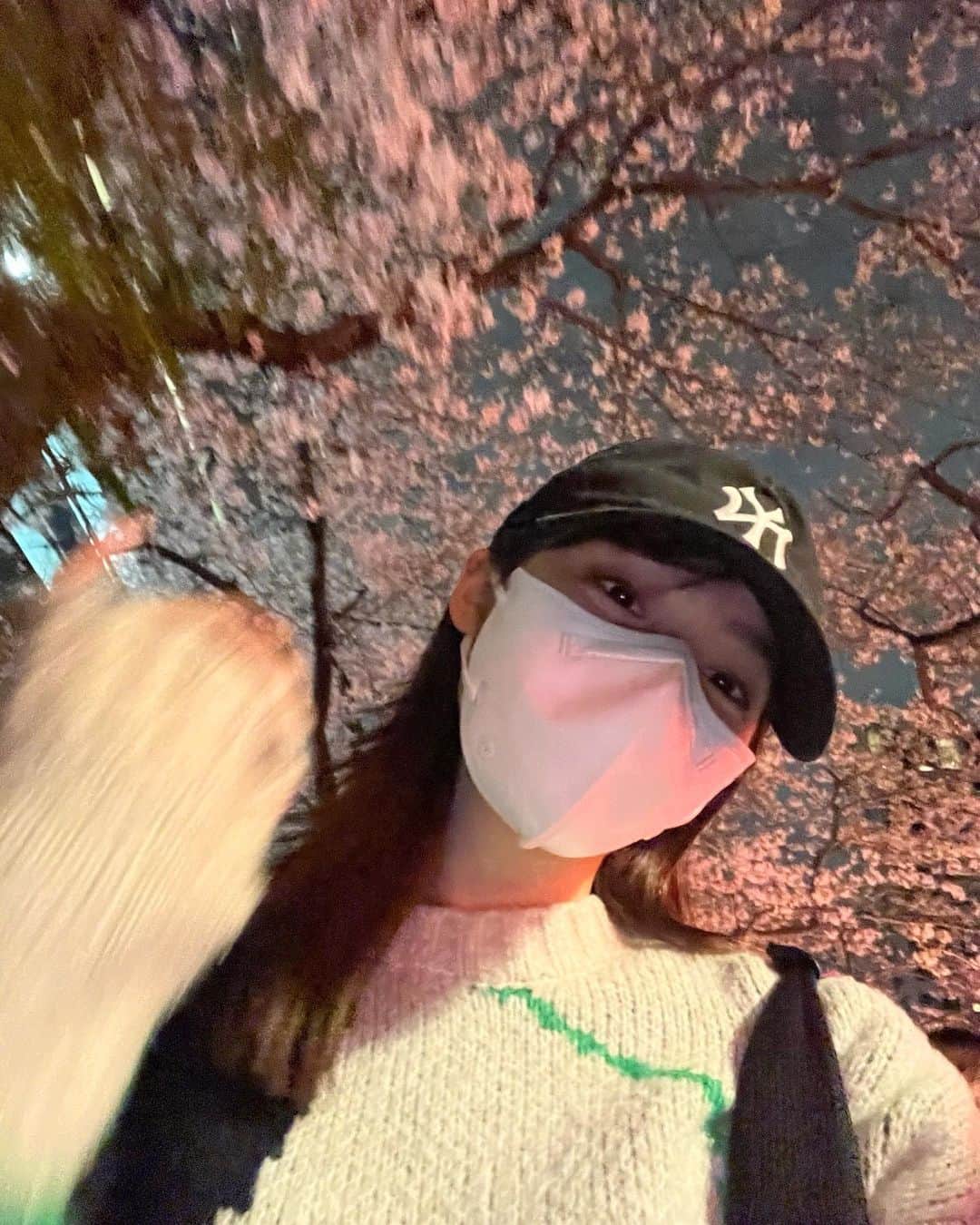 秋田汐梨さんのインスタグラム写真 - (秋田汐梨Instagram)「ㅤ 夜桜を見に行ってきました〜 きれいだったー！！🌸」3月28日 20時50分 - shiori_akita319official