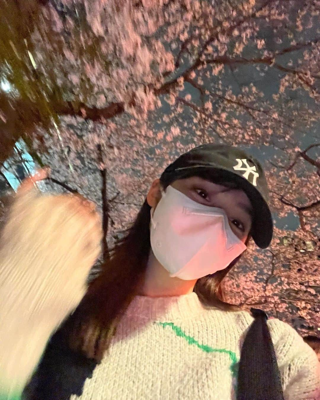 秋田汐梨のインスタグラム：「ㅤ 夜桜を見に行ってきました〜 きれいだったー！！🌸」