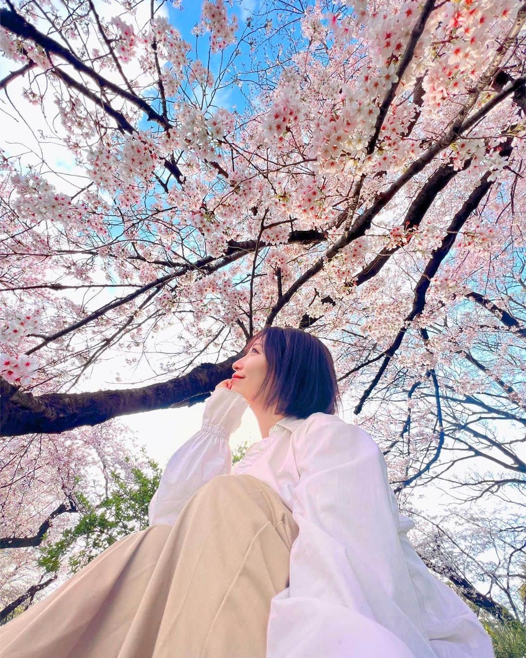 和希詩織のインスタグラム：「#cherryblossom 🌸🌸🌸 . . . 花見癒される🌸 連日雨だったからより嬉しい✨ . . . 📍渋谷区 . . . 青空と桜見れてよかった🌸 散り始めも綺麗👏 . . . . #花見#さくら #桜 #お花見#タビジョ#tabijo」