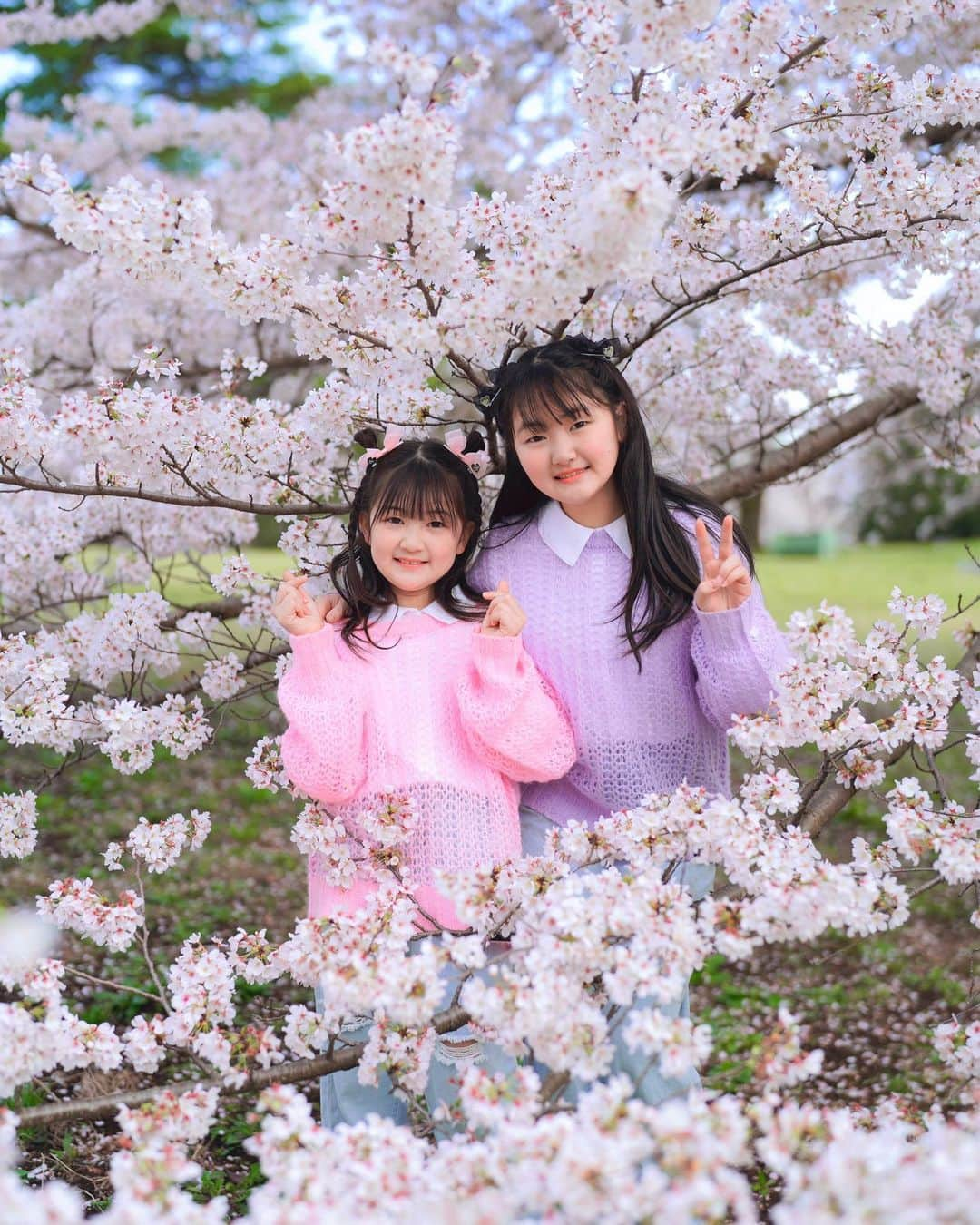 はねまりのインスタグラム：「🌸🌸🌸🌸🌸 間に合って良かった😊 青空と桜、何年ぶり？  #anapgirl #sakura #cherryblossom #桜 #日本絶景  #はねまり #海外ファッション #はねまりちゃんねる #ユーチューバー #ファッション #子供服 #小学生 #hanemari #youtuber #fashion  #js #followｍe  #ootd  #リンクコーデ  #双子コーデ #韓国子供服 #js3 #js5 #今日のコーデ #通学コーデ #スクール #小学生コーデ #女の子ママ #ダンス女子 #春コーデ」