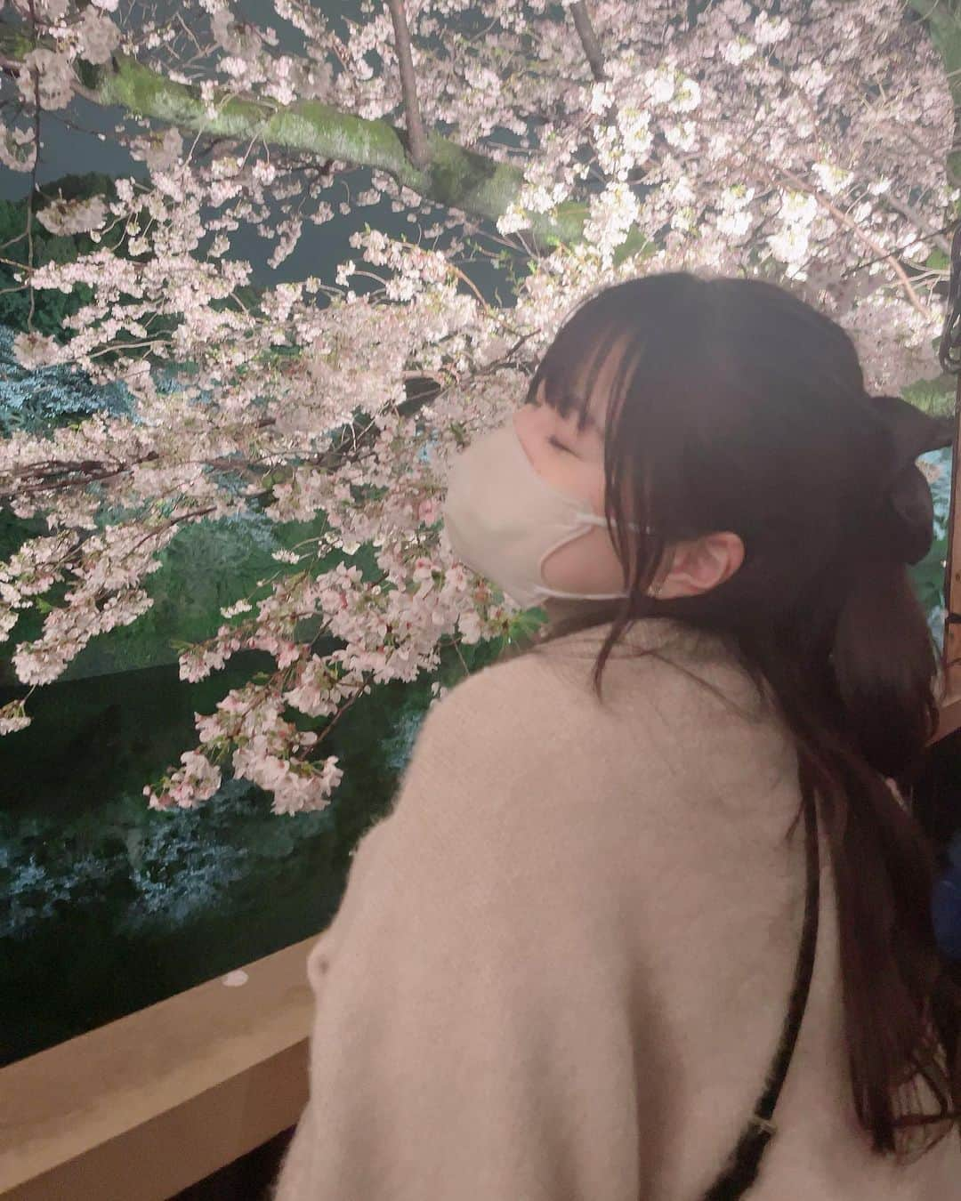 宇田川ももかさんのインスタグラム写真 - (宇田川ももかInstagram)「桜綺麗だったな💭🌸 ・ ・ #桜#夜桜#04」3月28日 20時59分 - momoka_tpg