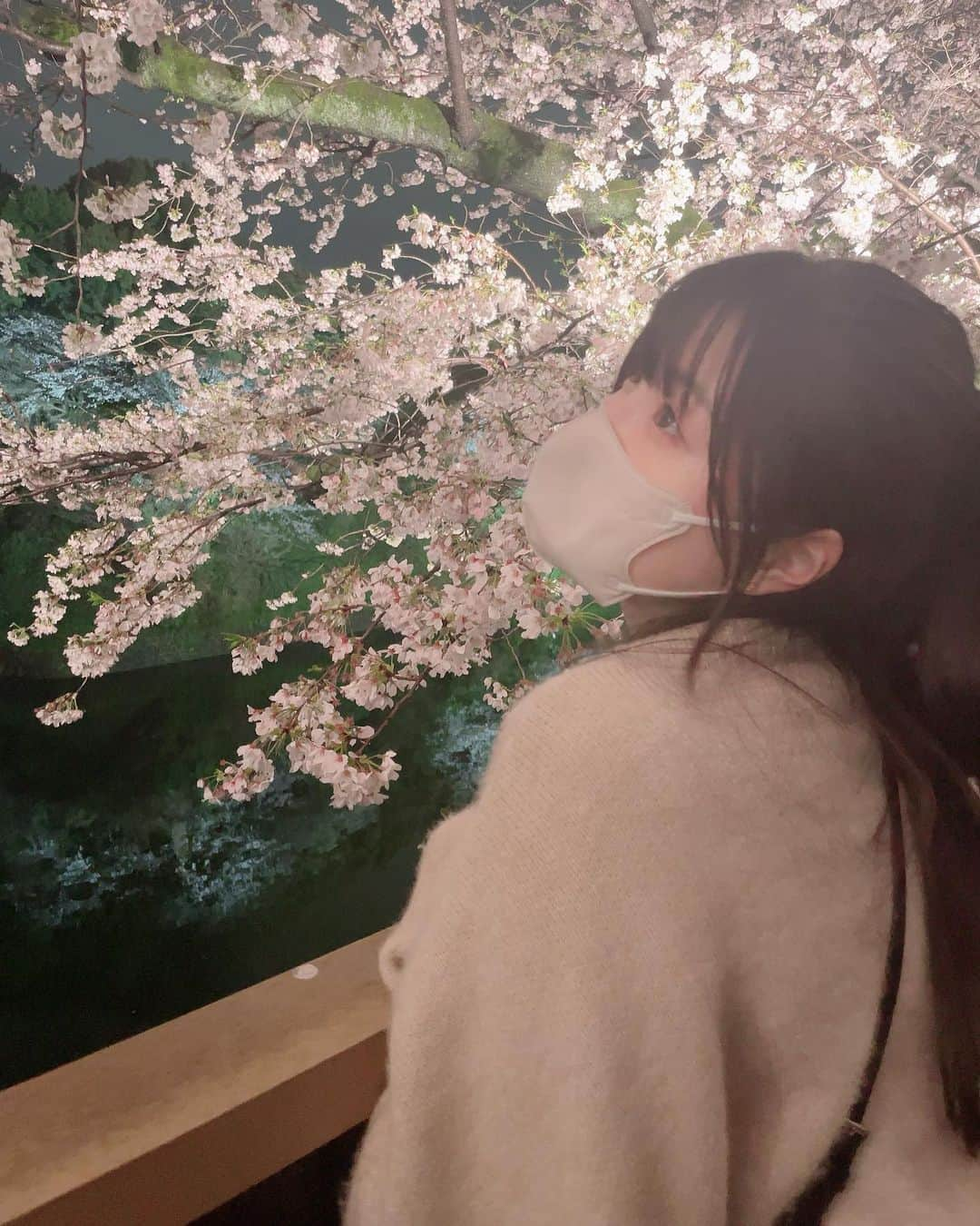 宇田川ももかさんのインスタグラム写真 - (宇田川ももかInstagram)「桜綺麗だったな💭🌸 ・ ・ #桜#夜桜#04」3月28日 20時59分 - momoka_tpg