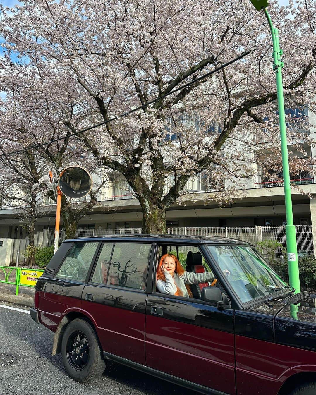 浜本忠勝さんのインスタグラム写真 - (浜本忠勝Instagram)「𝒮𝒶𝓀𝓊𝓇𝒶…🌸 ✴︎ 出会いと別れの季節。 我が家では、自分の子どものように可愛がって愛着のある愛車。 ✴︎ これから色んな挑戦をしていく上で、乗り続けられるか分からないけど、この車に乗って家族でたくさんの素敵な場所に行った事は忘れません✨ 潮里さんと2人で桜見ながら思い出してました…🥲✨  #rangerover #classicrangerover #rangeroverclassic #レンジローバークラシック #レンジローバークラシックバンプラ #愛車」3月28日 21時04分 - whyte_hamamoto