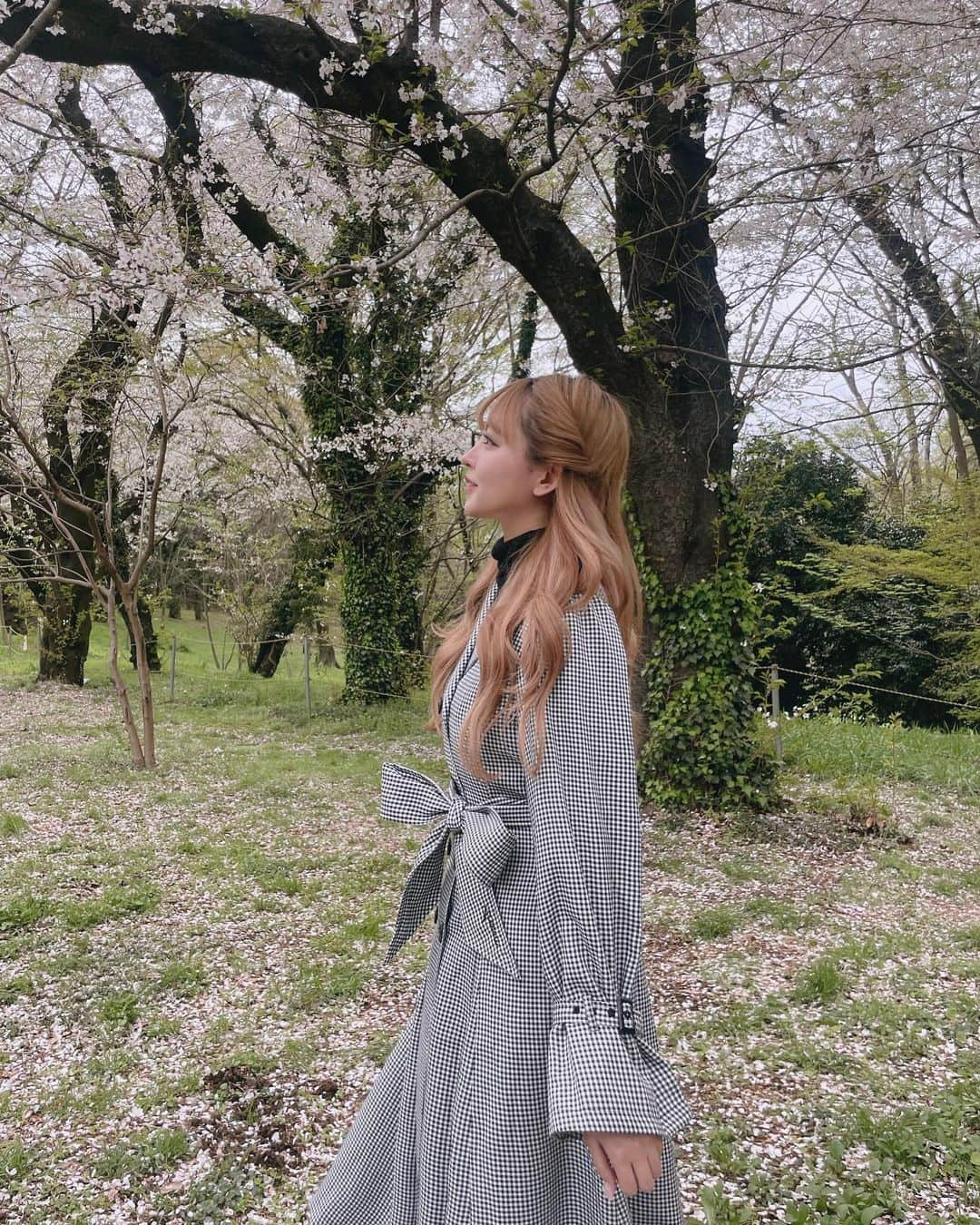 ひなこさんのインスタグラム写真 - (ひなこInstagram)「雨がずっと降ってたけど 落ちた桜が絨毯みたいになっててそれもまた綺麗だった🌸 大人っぽいギンガムチェックに、可愛いシルエットのトレンチコートやっと着れた🧥🖤 zozotownでクーポン開催中みたい🎫 #Areeam #アリーム　#トレンチコートコーデ」3月28日 21時05分 - hnk165