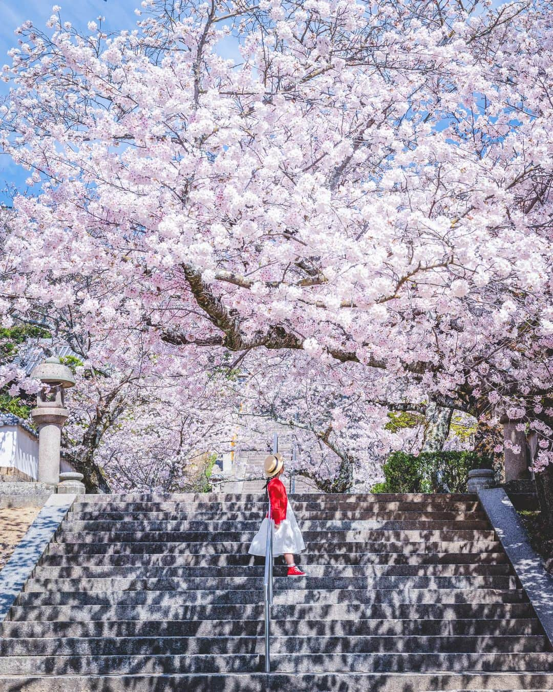 梶原憲之のインスタグラム：「. 桜の影がなんだか凄くきれいでした。。  📸Nikon Z6 NIKKOR Z 24-70mm f/2.8 S  #広島 #尾道  #広島県#桜 #photoplusme #team_jp_  #art_of_japan_#桜スポット #japan#東京カメラ部 #photo_jpn #photo_shorttrip  #死ぬまでに行きたい日本の絶景#広島観光#広島旅行#nikoncreators #吉卜力#japantravel #tokyocameraclub#retrip_news #daily_photo_jpn#絶景#ジブリ#지브리#light_nikon  #jalan_travel #japantrip」