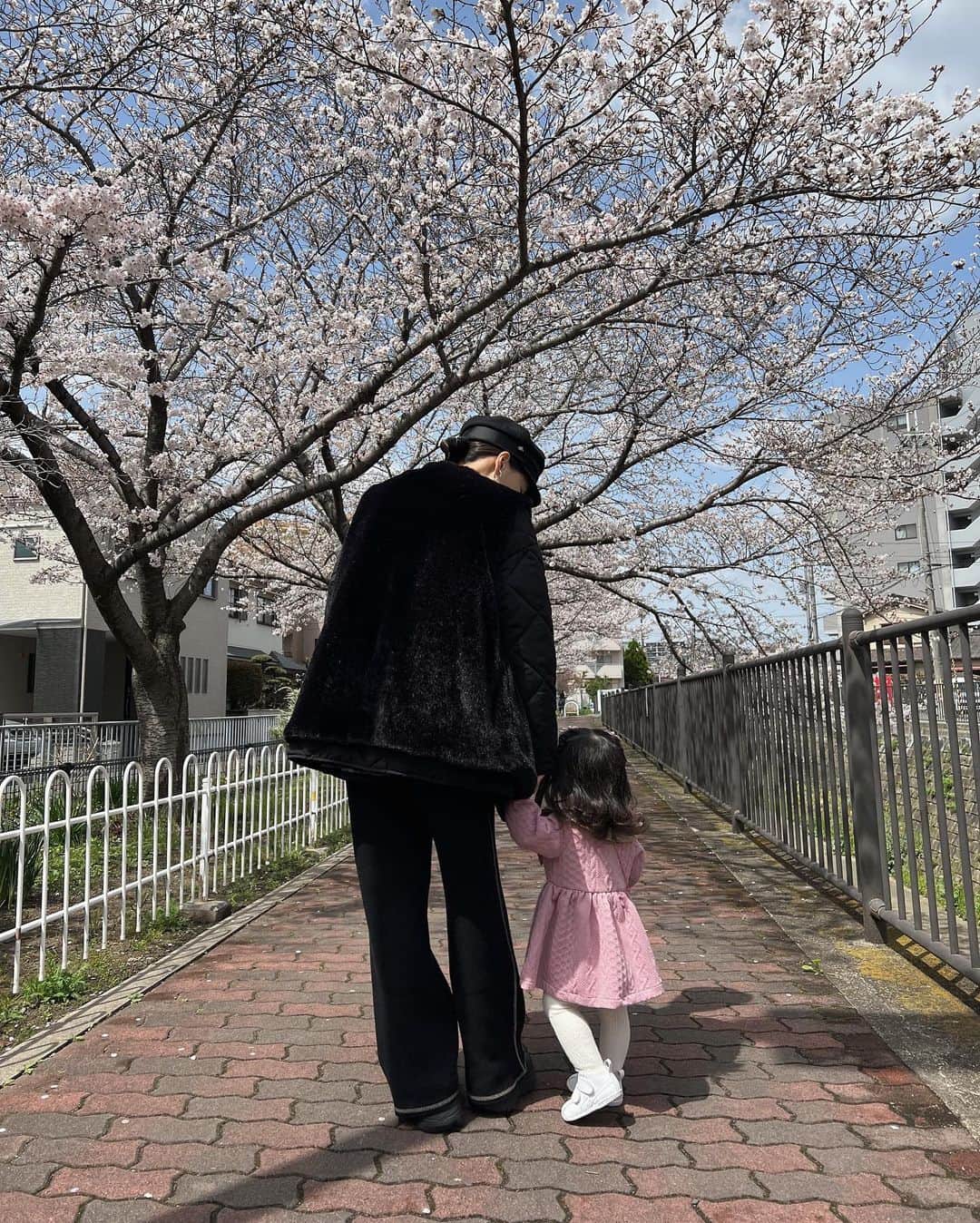 のインスタグラム：「去年も家族写真を撮った場所で 今年も家族写真を撮りに行ってきた🌸  嬉しそうに走り回る娘を見て 「大きくなったなぁ〜」としみじみ🥹 "子供の成長は早い"ってよく聞いていたけど 母になり、本当なんだなぁ〜と実感する。  去年は桜を見せても無反応だったのに 今年は目を丸くしながら桜を眺め👀 指差して🫵🏻「おぉー」と言ったり 落ちてる桜の花びらを拾ったり とても楽しそうにしていました☺️💕  来年はどんな表情を見せてくれるのかな？✨  #桜 #女の子ママ #家族写真」