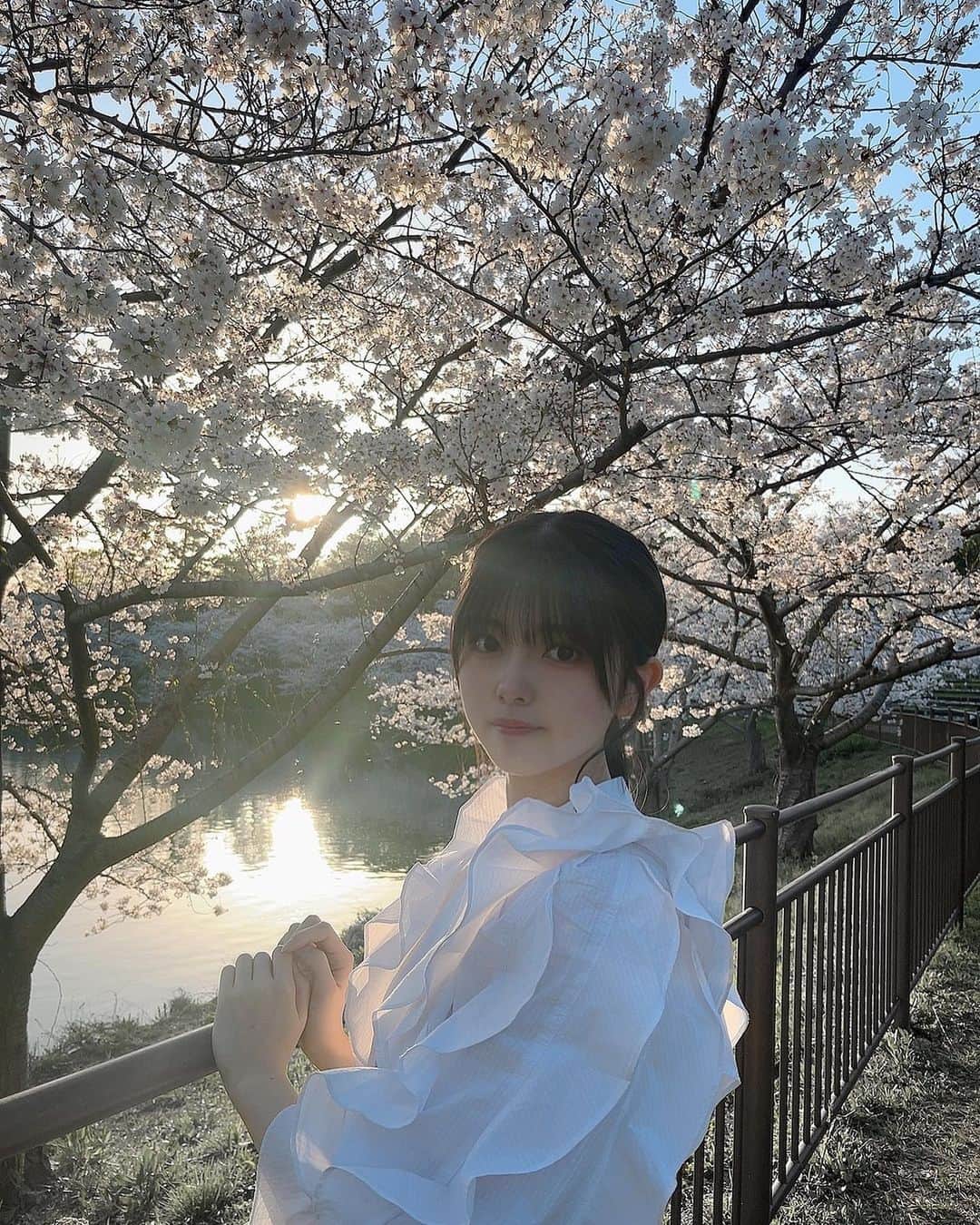のインスタグラム：「⌇ 𝖼𝗁𝖾𝗋𝗋𝗒 𝖻𝗅𝗈𝗌𝗌𝗈𝗆 ⁡ ⁡ 一番綺麗なときに散るから儚くて ⁡ 来年もまた見たいって思えるんだよね🌸 ⁡ ⁡ #05 #idol #nmb #jk #アイドル  #春 #桜 #お花見」