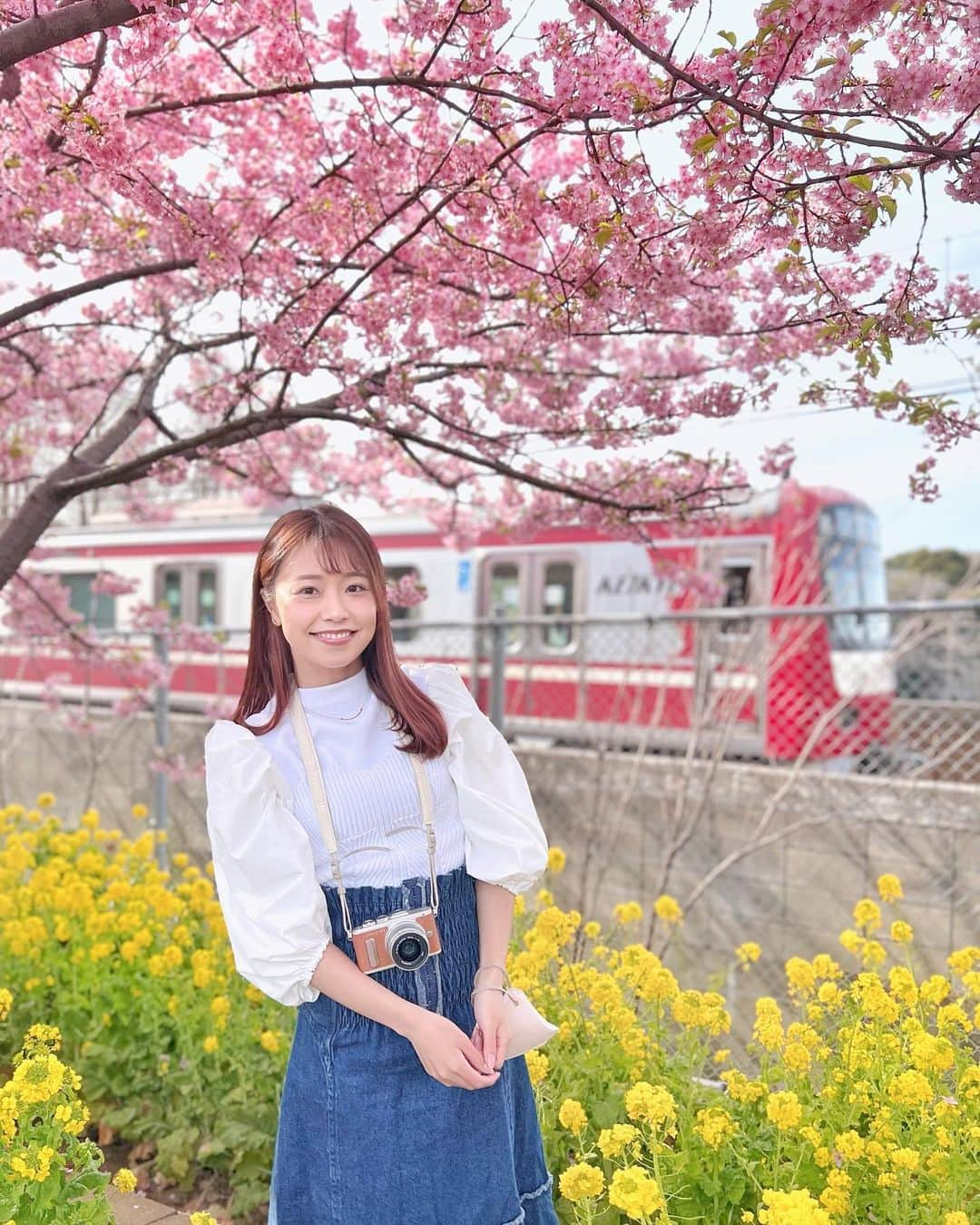 萩原菜乃花のインスタグラム：「今年はお花見できた？☺️  少し前に三浦に河津桜を見に行ったときの📷 桜も菜の花も満開できれいだった〜！  レジャーシート敷いてお花見したいなあ 今年は雨が多くてお花見のタイミング逃しそう🫠  いつか青森の弘前城の桜を見に行きたい！！ おすすめのお花見スポットあったら教えてください♡  #お花見#桜#菜の花#河津桜#三浦#横須賀#ゴルフ#ゴルフ女子#三浦海岸桜まつり#三浦海岸#カメラ女子#一眼レフ#ポートレート#オリンパス#なのかめら」